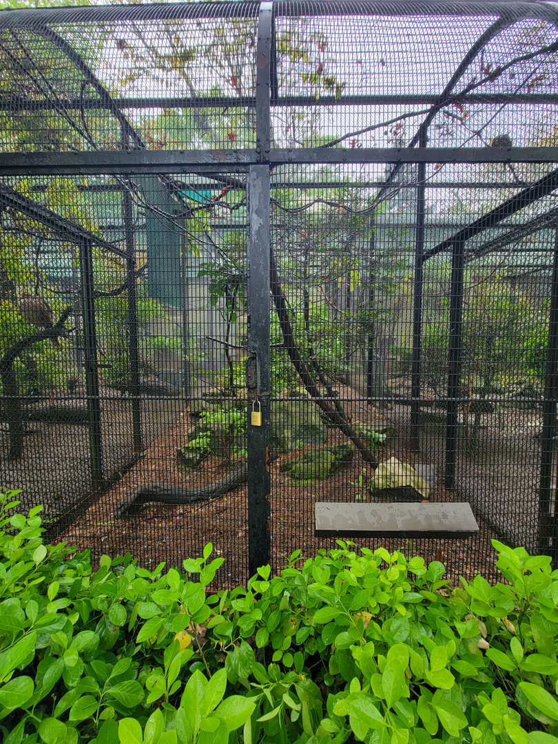 Bronx - Pheasantry, empty exhibit