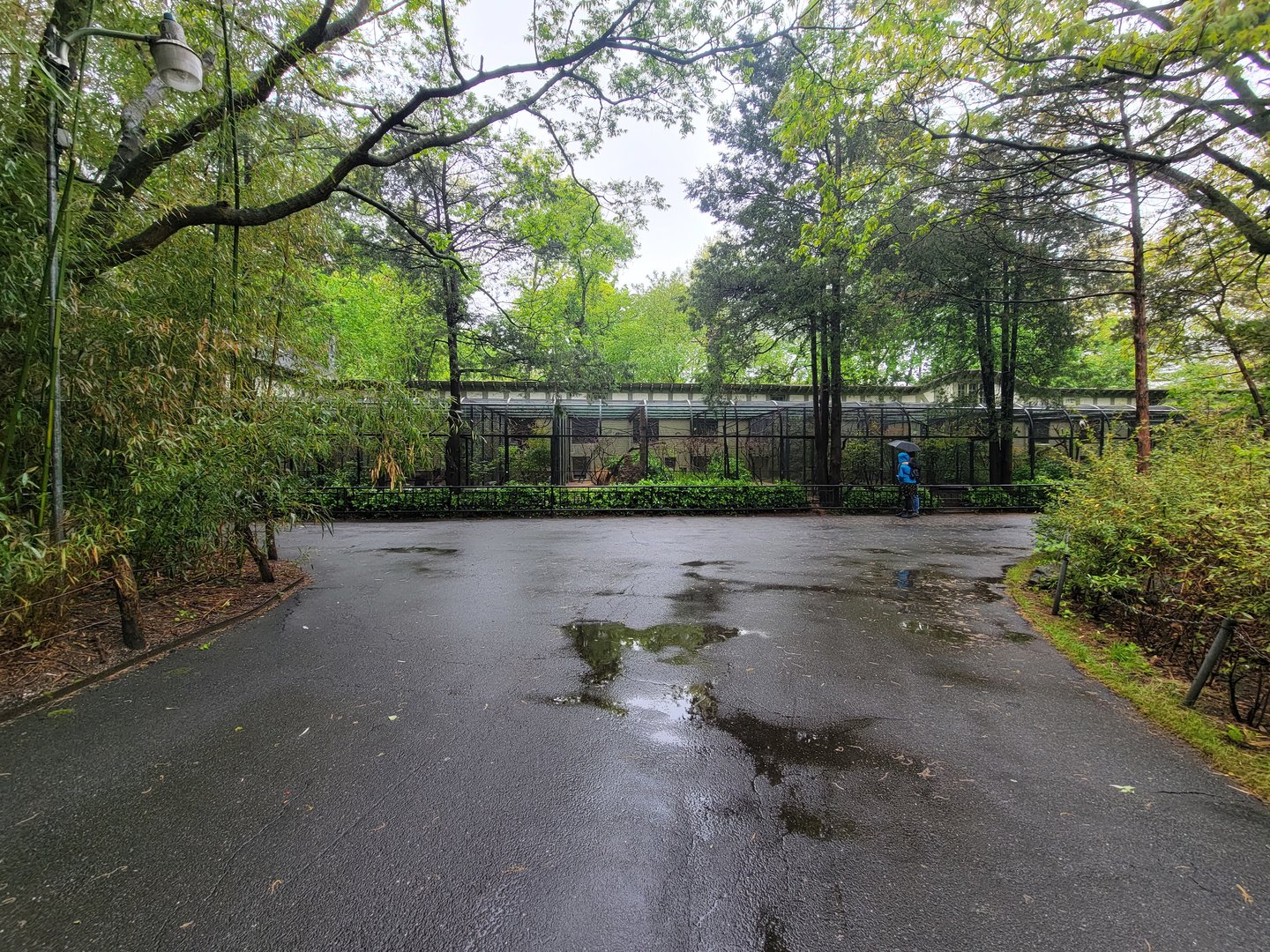 Bronx - Pheasantry from path to Congo