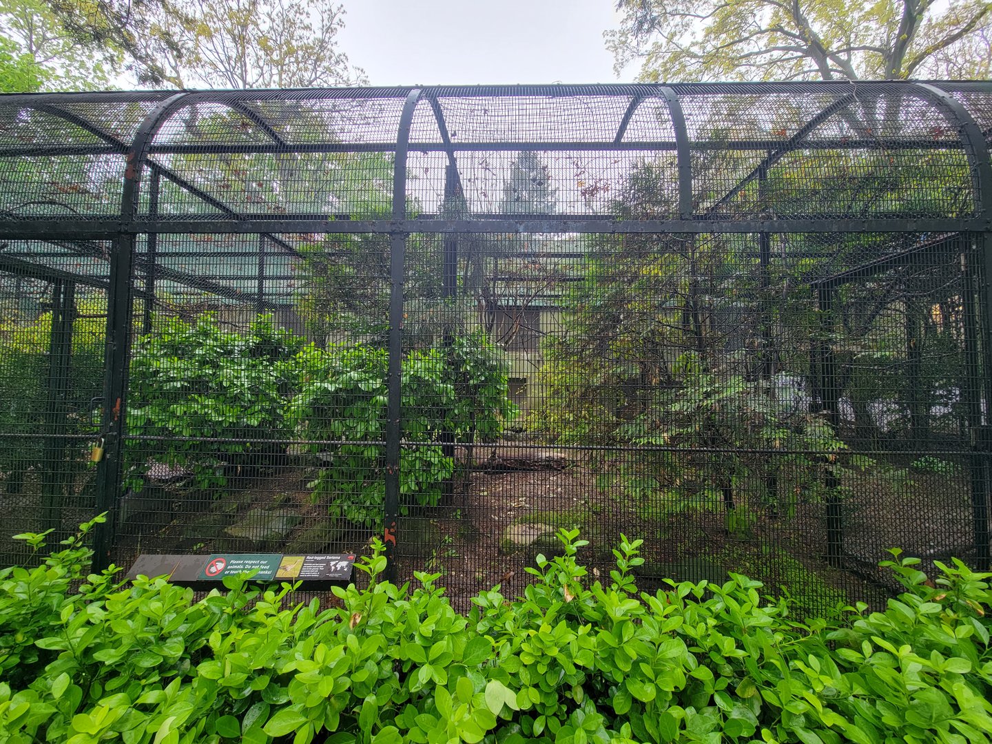 Bronx - Pheasantry, Red-legged seriema exhibit