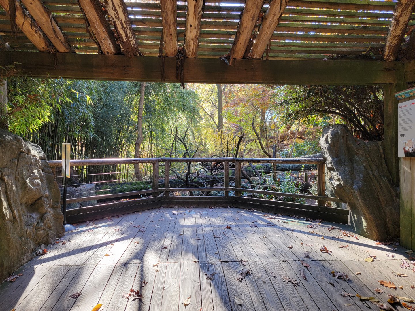 Bronx - Red Panda exhibit