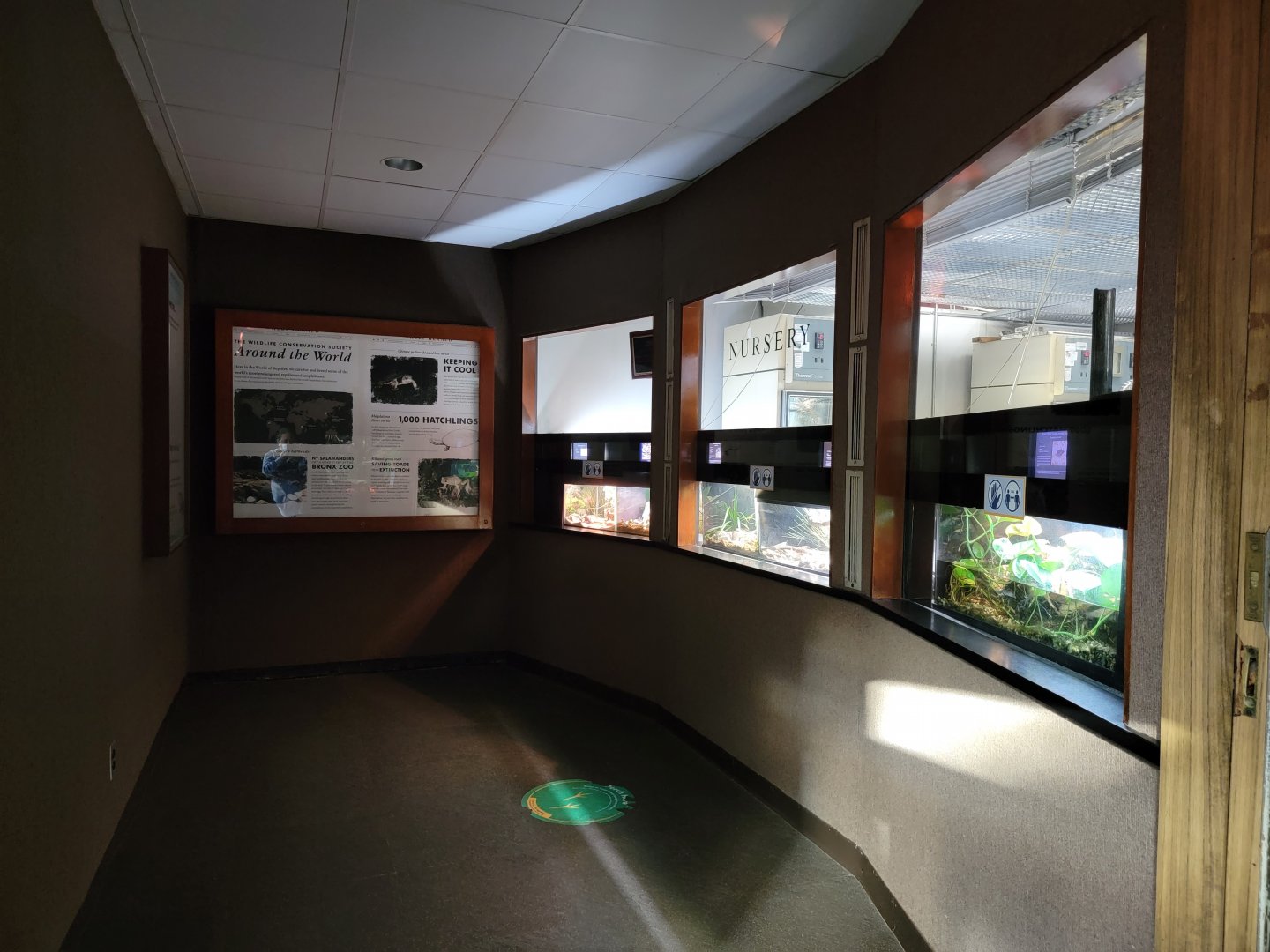 Bronx - Reptile House nursery