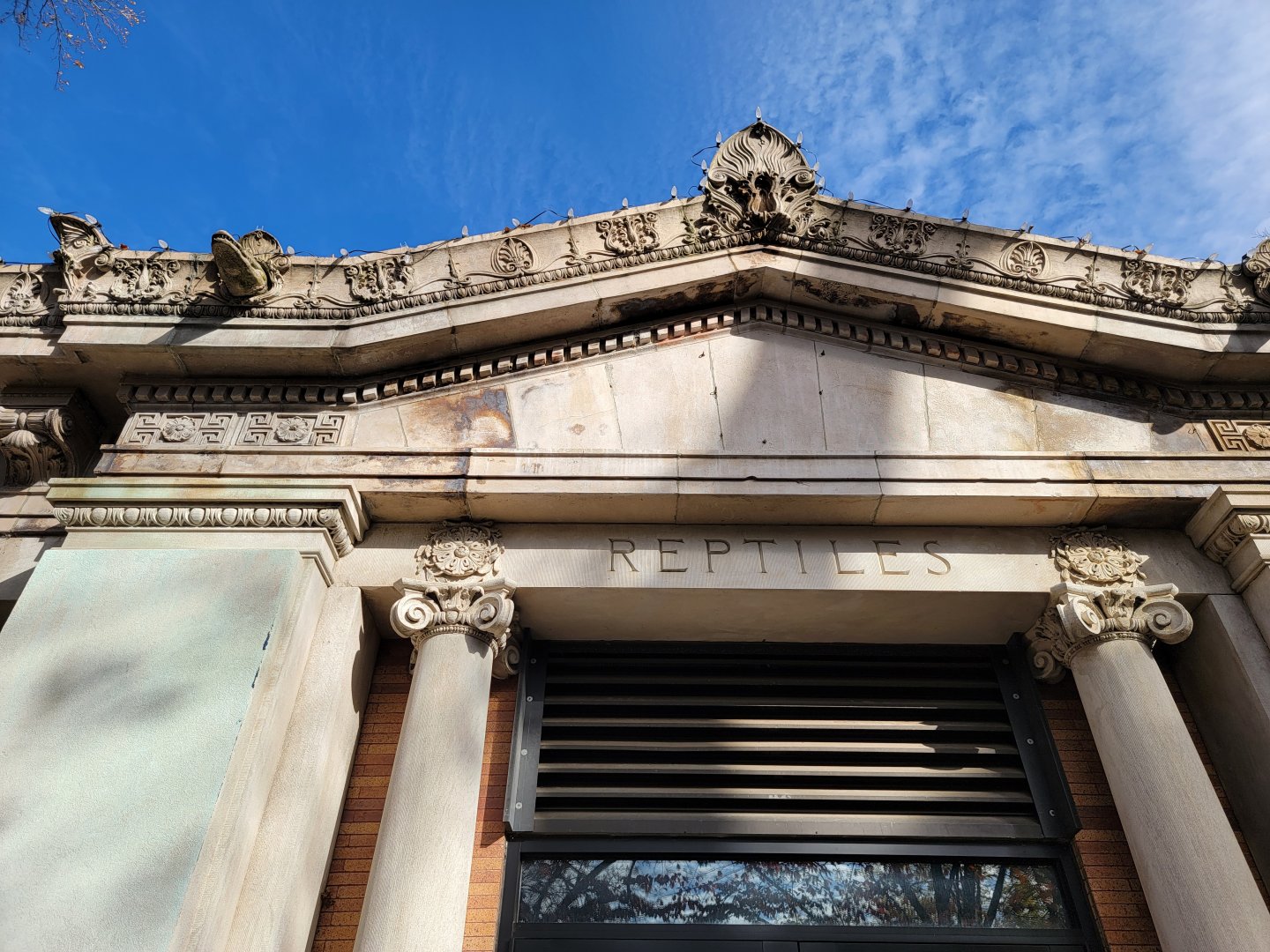 Bronx - Reptile House