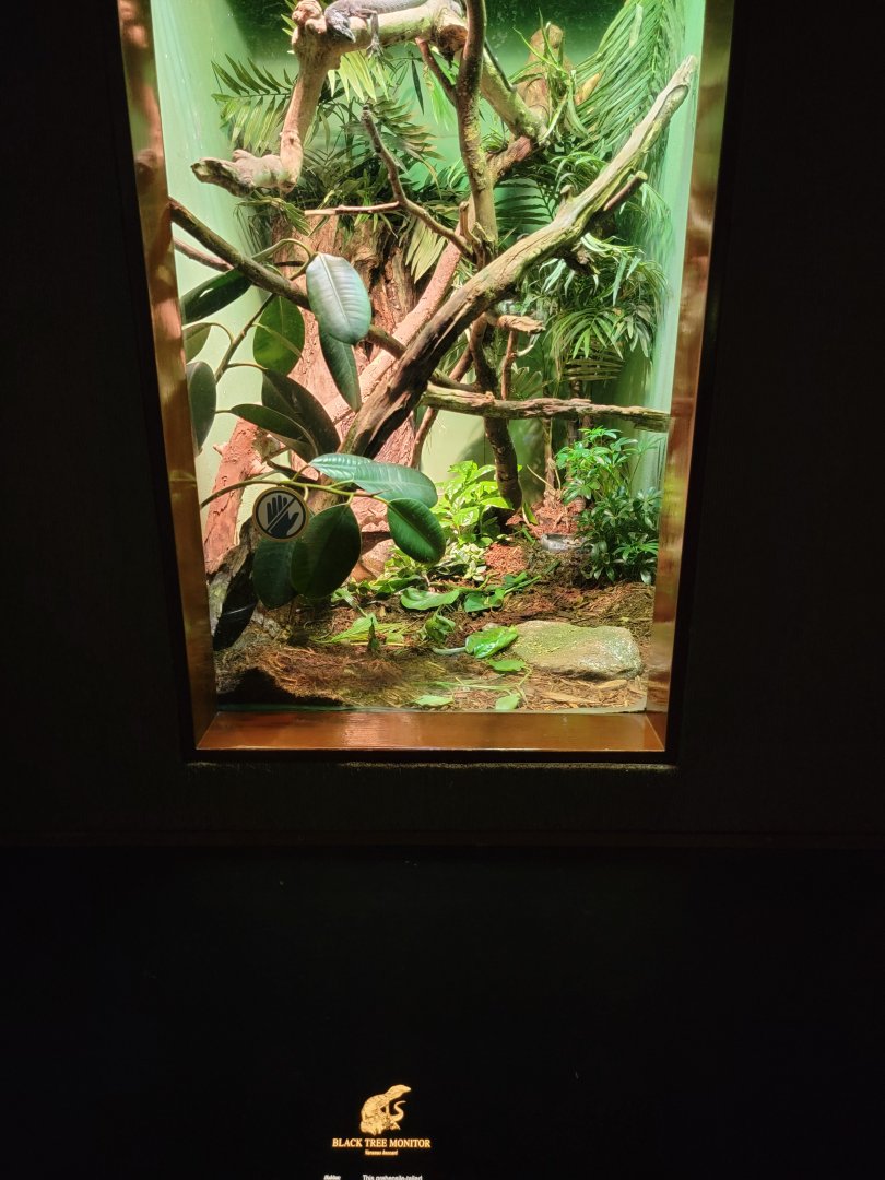 Bronx - RH - Black Tree Monitor