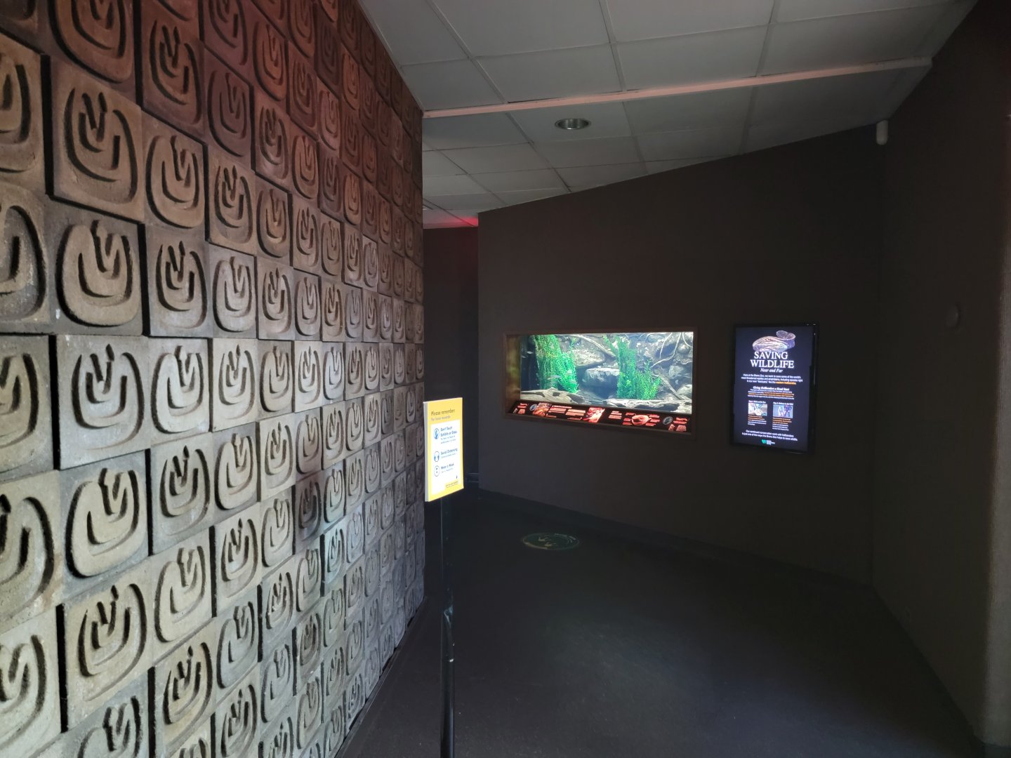 Bronx - RH - Entrance, hellbender exhibit