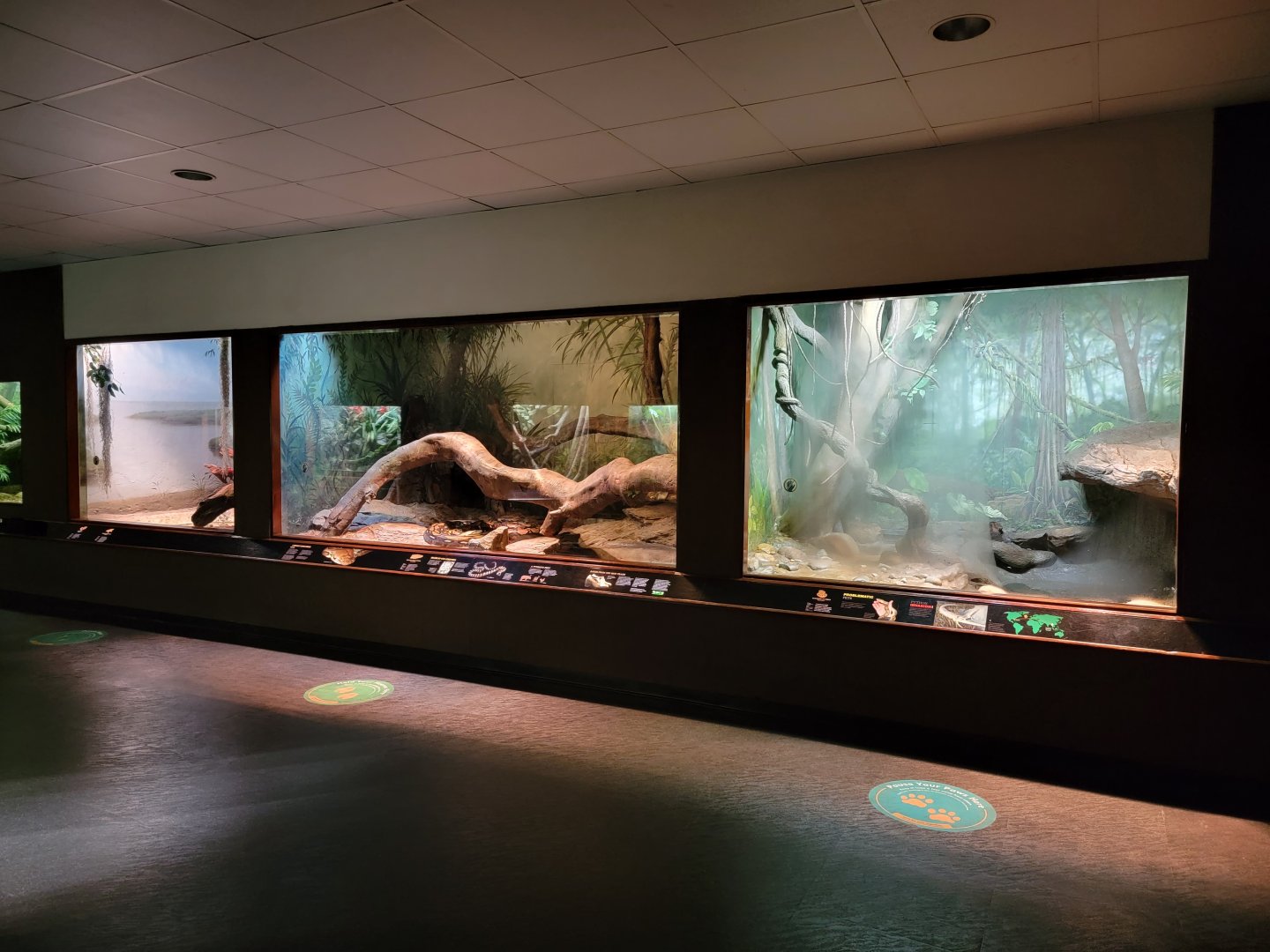 Bronx - RH - Giant snakes