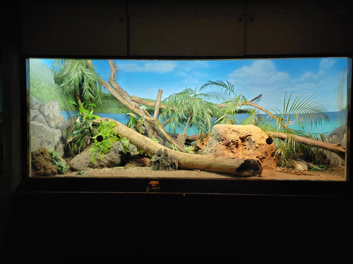 Bronx - RH - Gray's Monitor