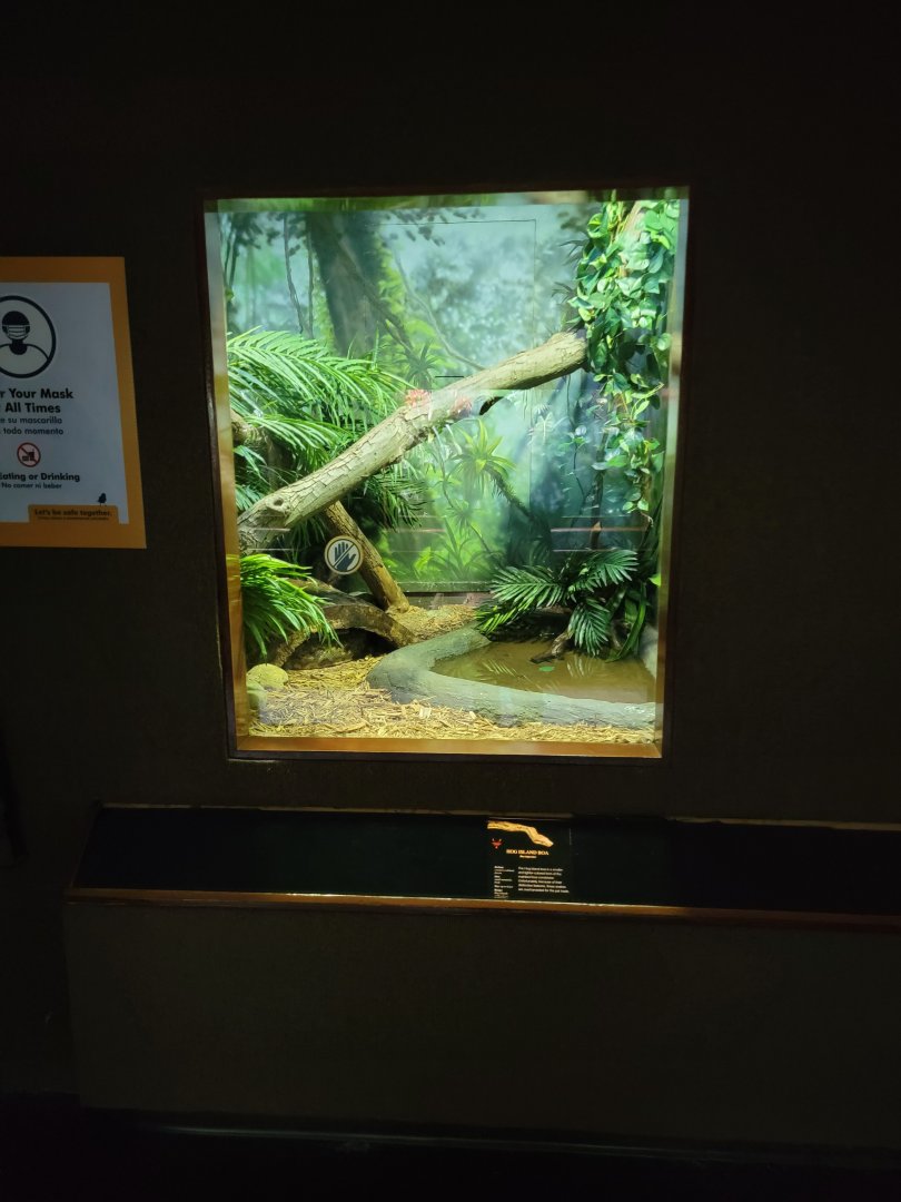 Bronx - RH - Hog Island Boa