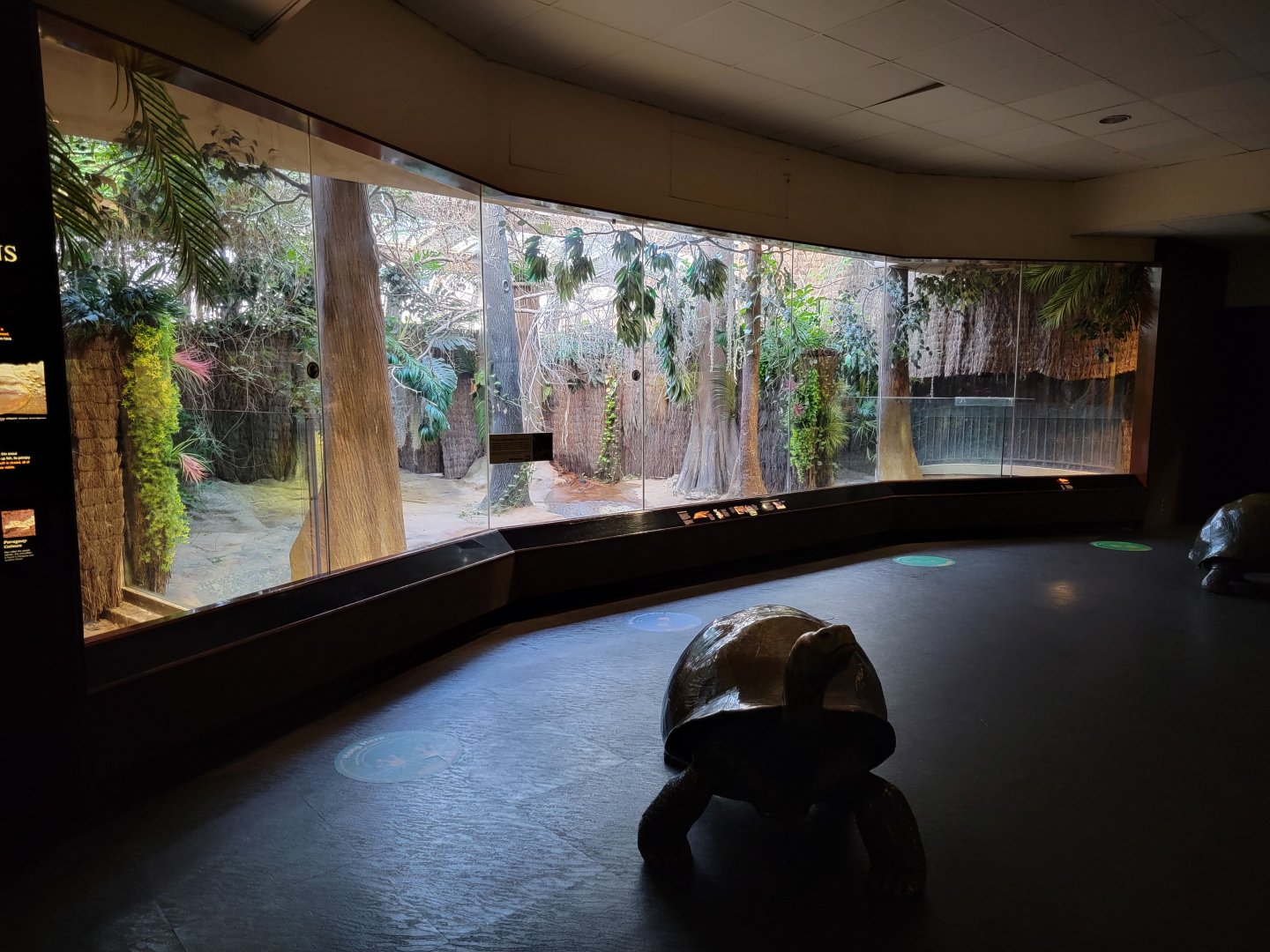 Bronx - RH - Tomistoma exhibit (empty)