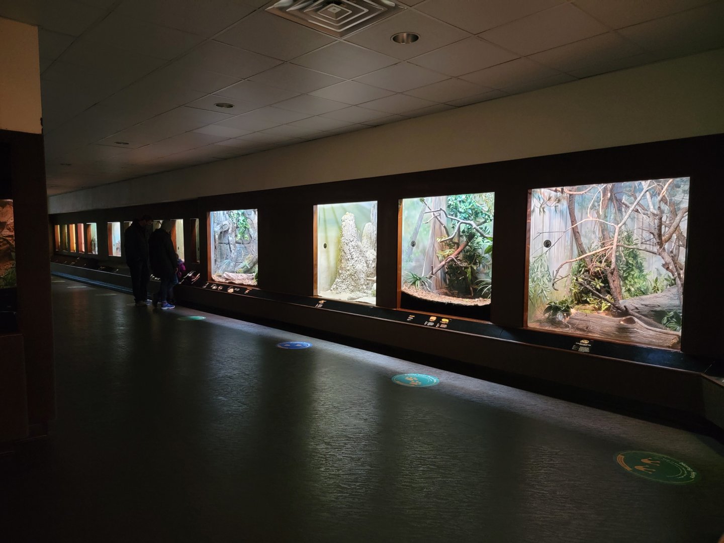 Bronx - RH - Viper exhibits