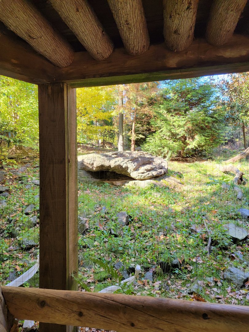 Bronx - Snow Leopard exhibit, 1 of 3