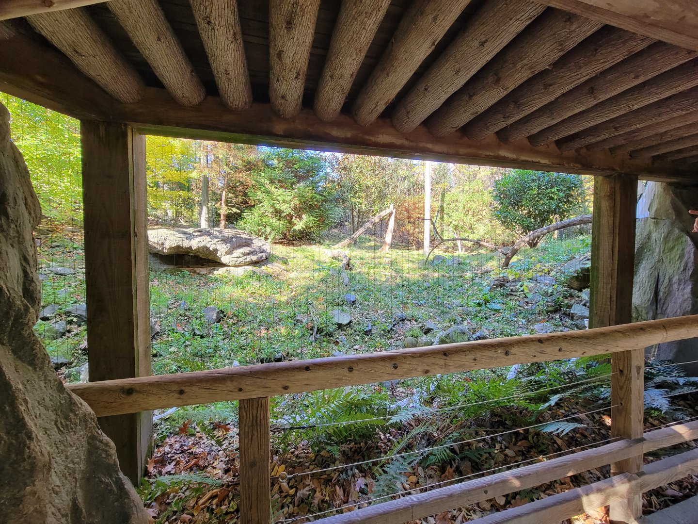 Bronx - Snow Leopard exhibit, 1 of 3