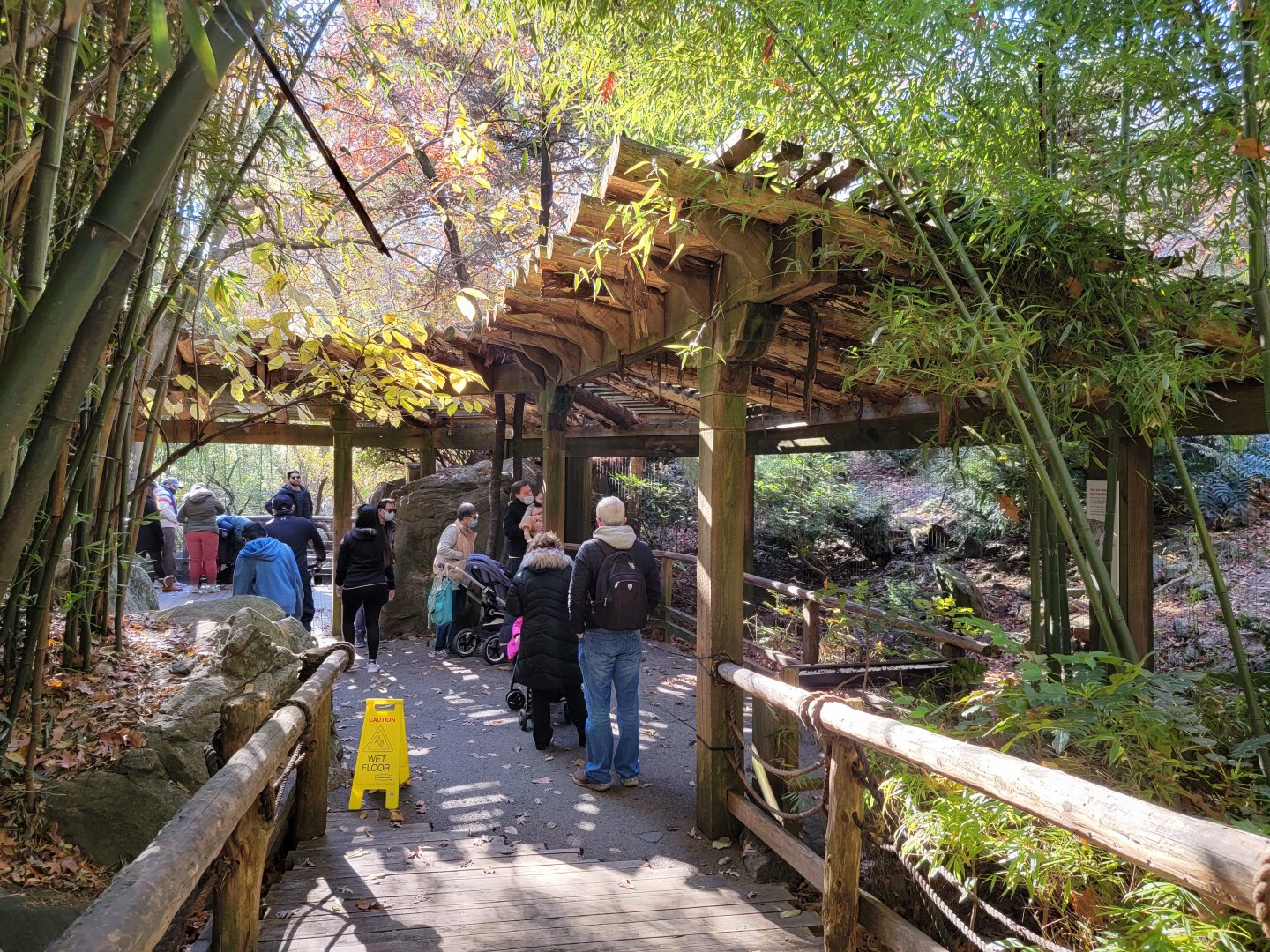Bronx - Snow Leopard exhibit #3 on right