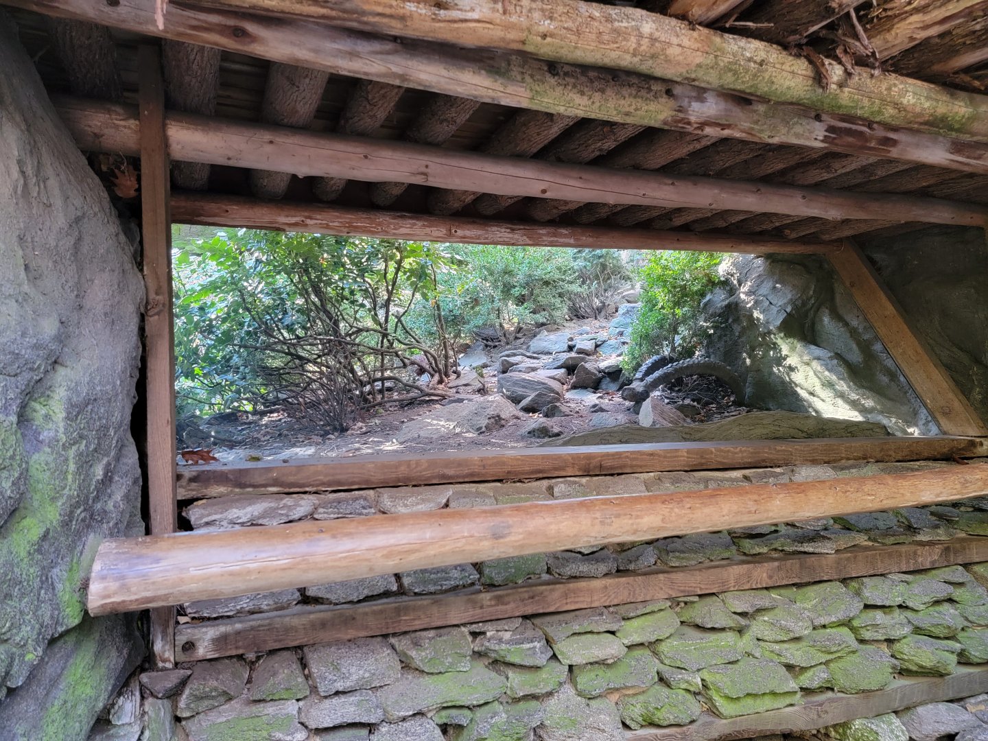 Bronx - Tragopan exhibit