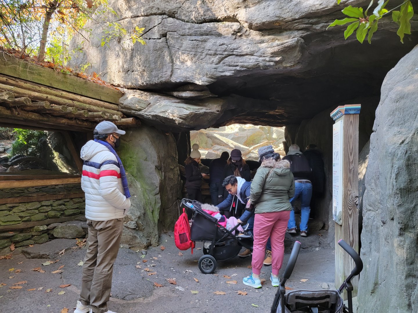 Bronx - Tragopan on left, Snow Leopard exhibit #2 center