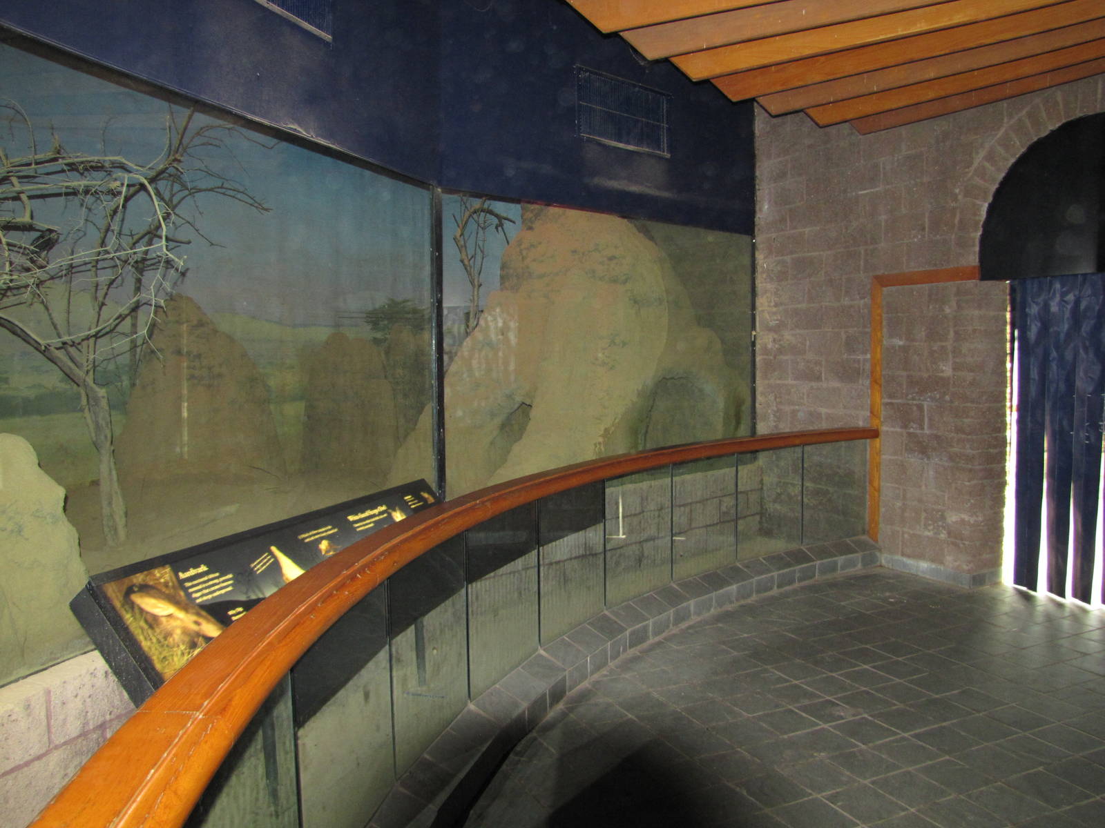 Bronx Zoo 2010 - Aardvark section in Carter Giraffe House