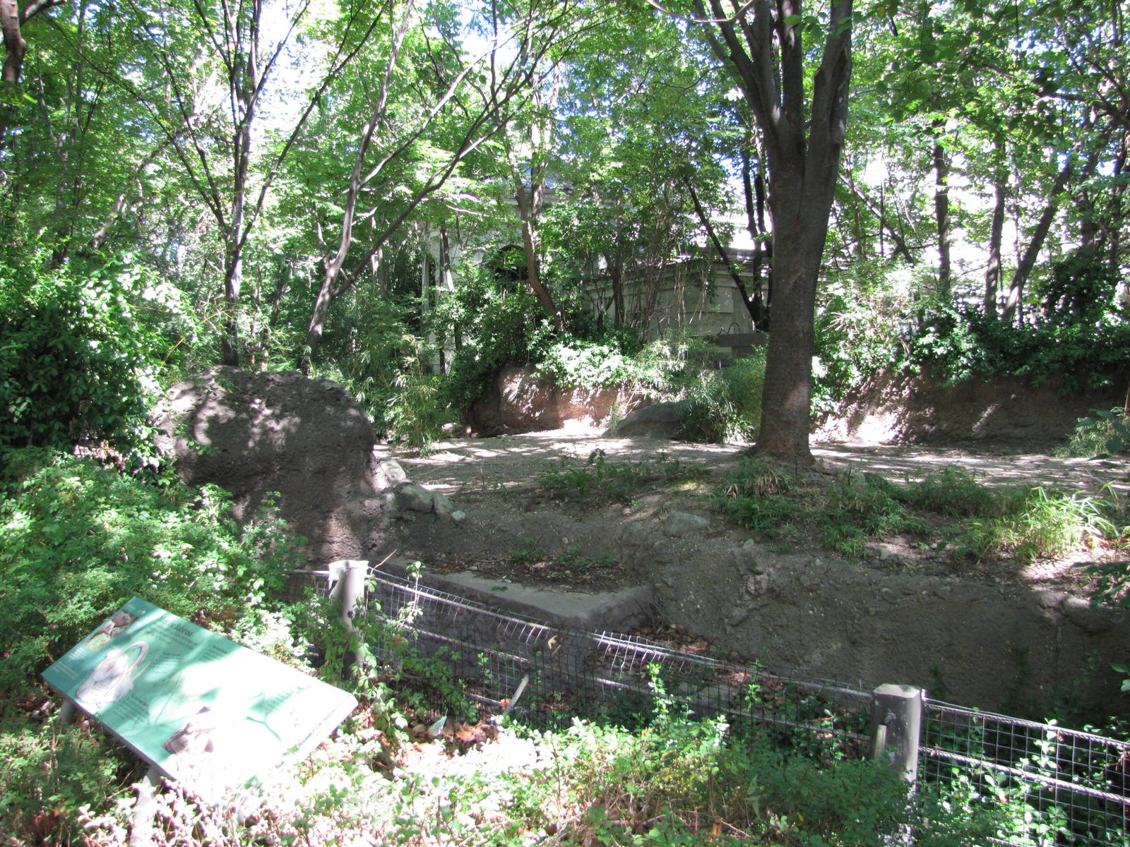Bronx Zoo 2010 - Babirusa exhibit at Zoo Center on historic Astor Court