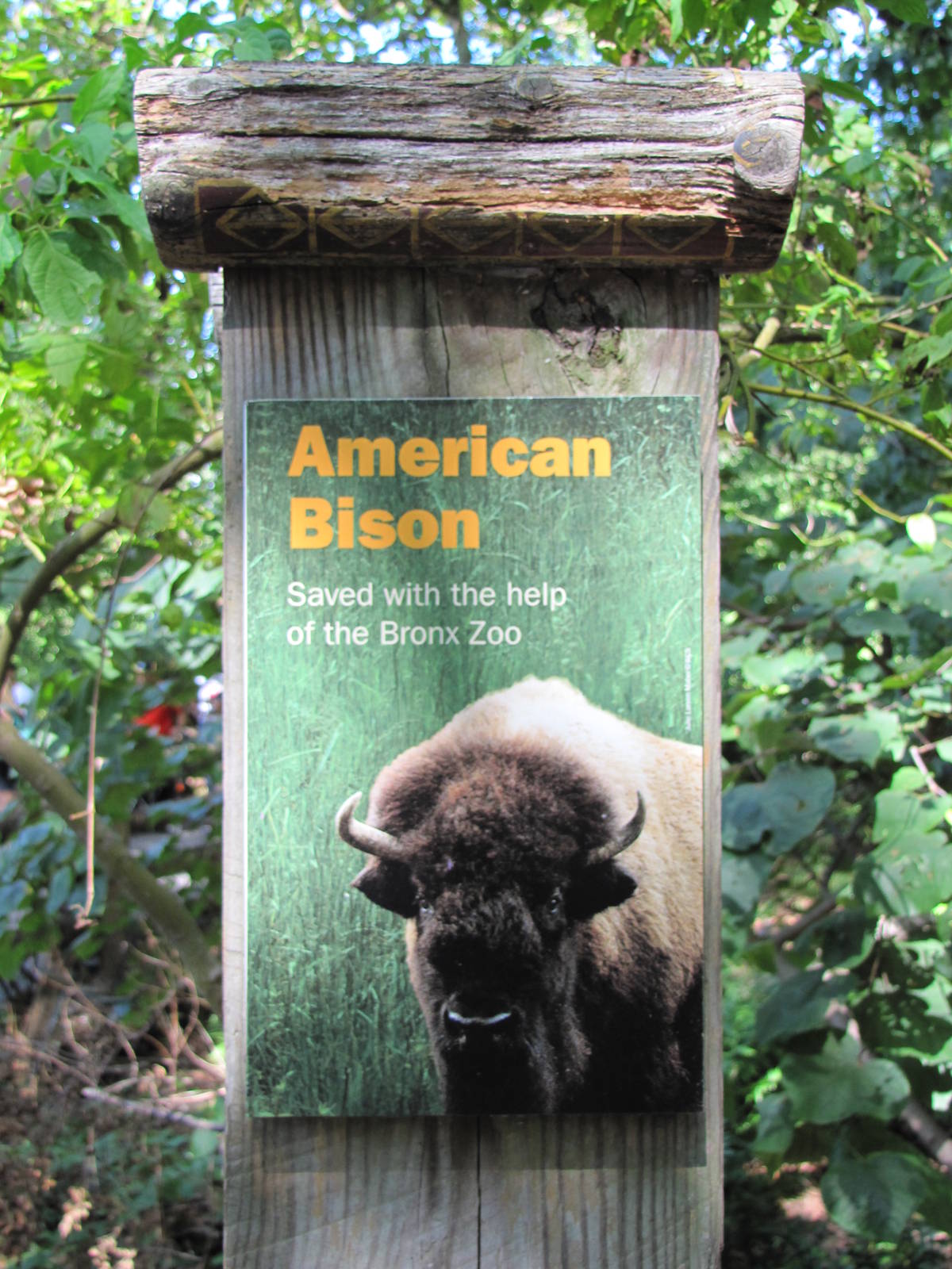 Bronx Zoo 2010 - Bison Range sign