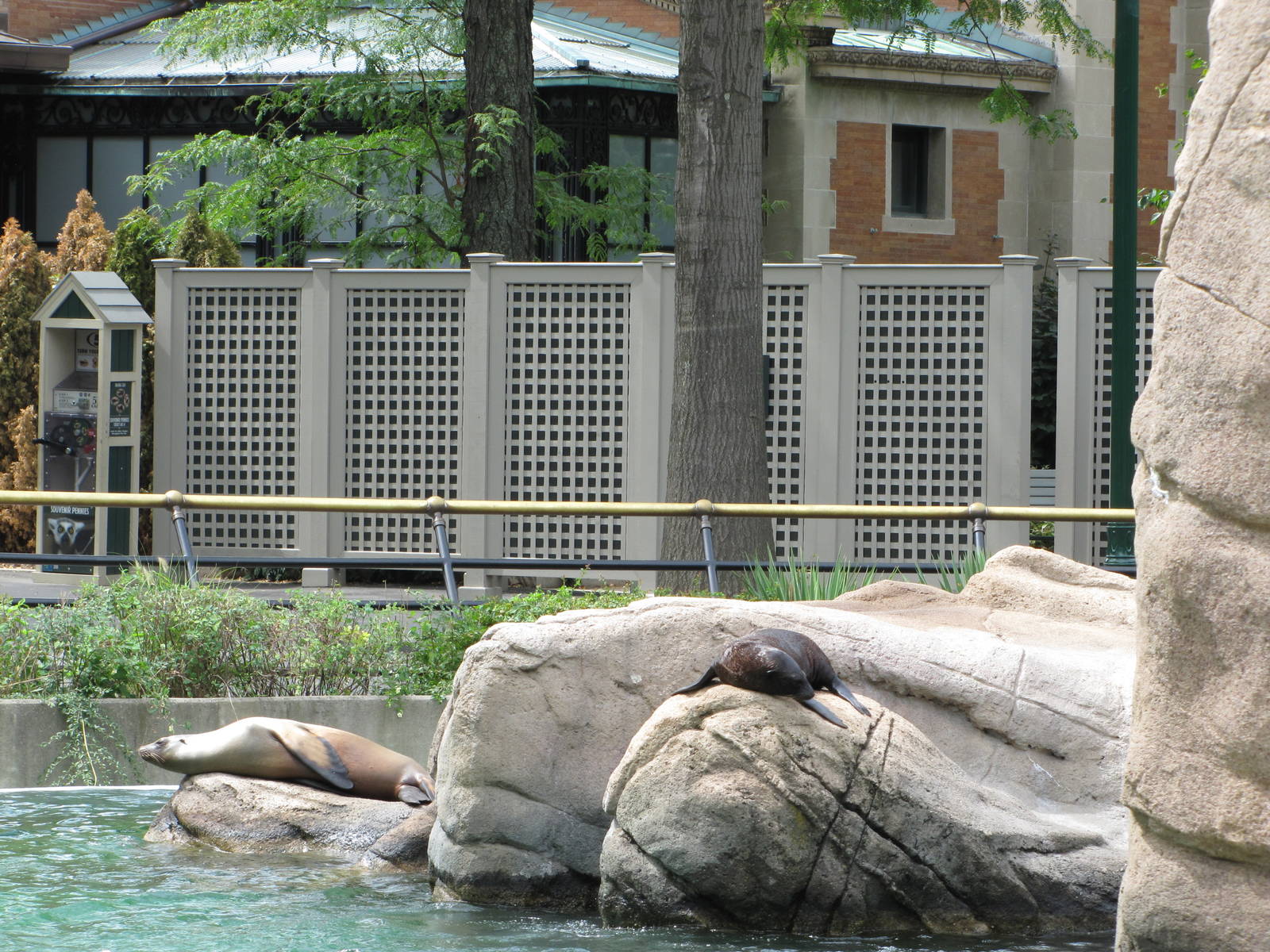 Bronx Zoo 2010 - California Sea Lions on historic Astor Court