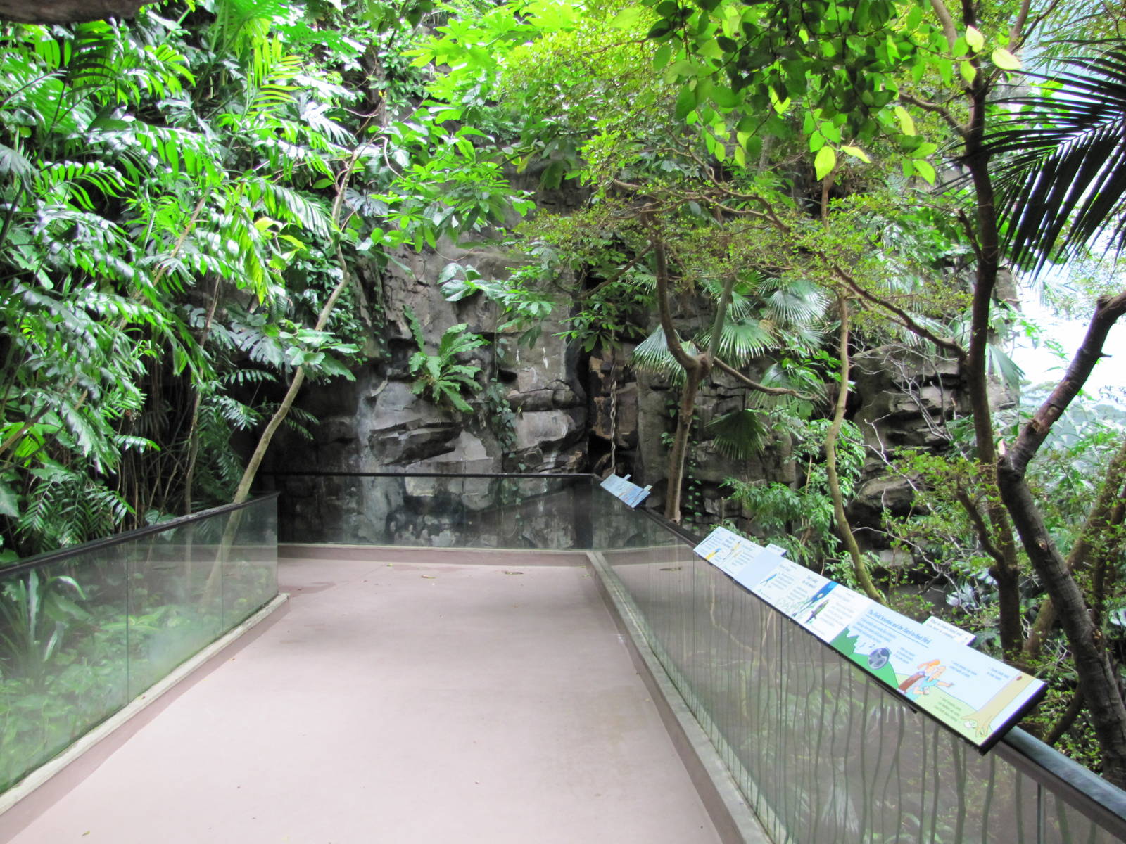 Bronx Zoo 2010 - Exhibit on the higher level in World of Birds