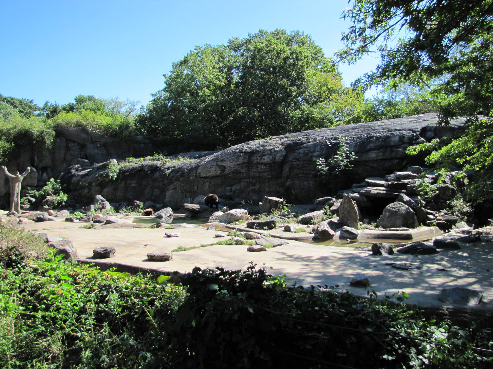 Bronx Zoo 2010 - First part of Brown Bear exhibit