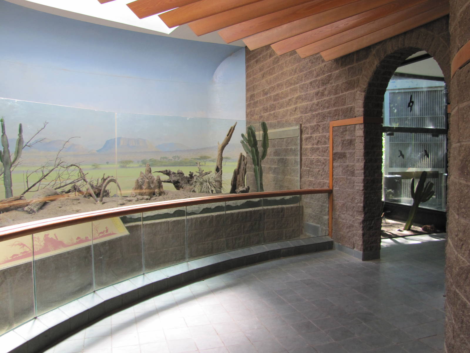 Bronx Zoo 2010 - First part of Dwarf Mongoose exhibit in Carter Giraffe Hou