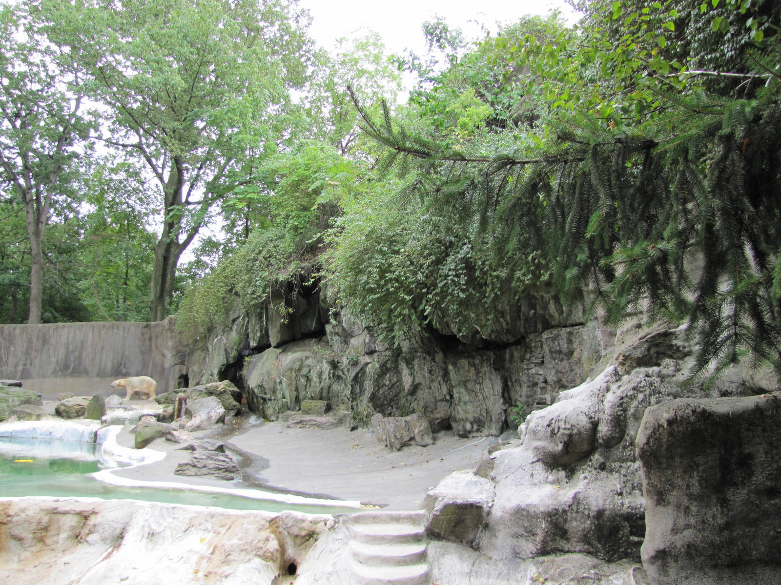 Bronx Zoo 2010 - First part of Polar Bear exhibit