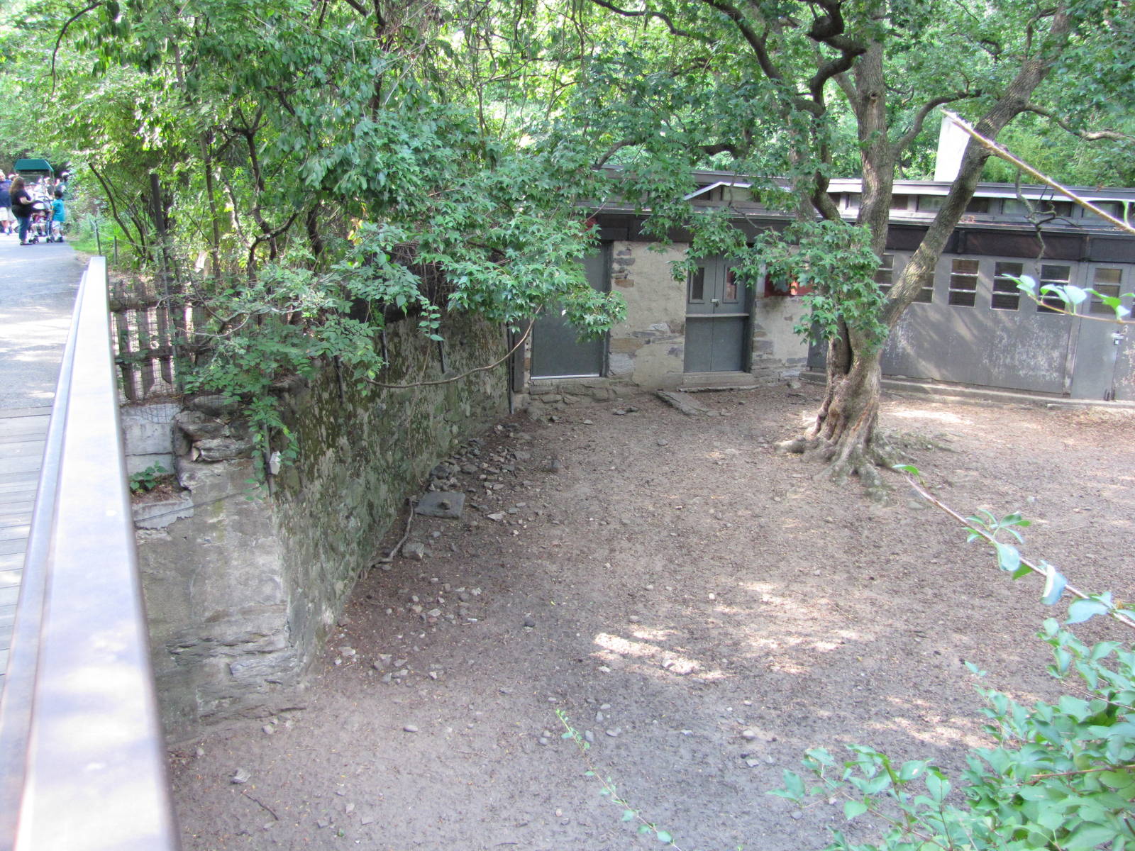 Bronx Zoo 2010 - First part of Slender-horned Gazelle exhibit