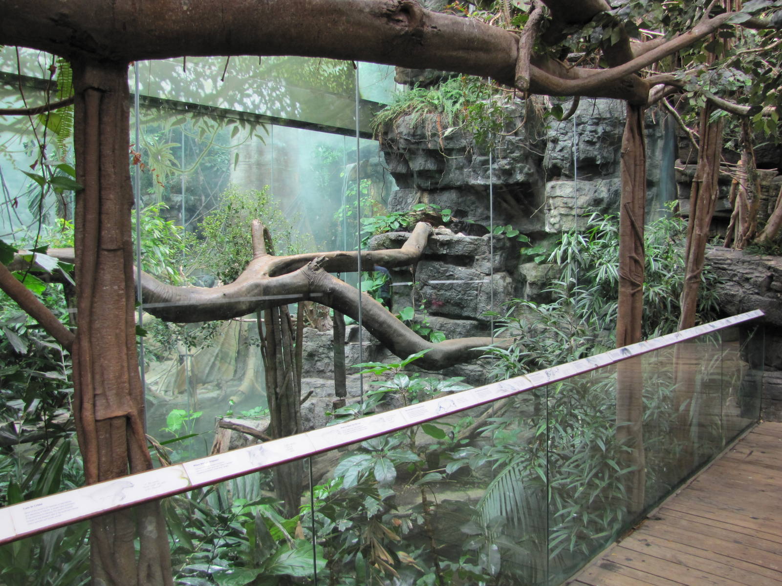 Bronx Zoo 2010 - Front of Black Panther exhibit in Jungle World