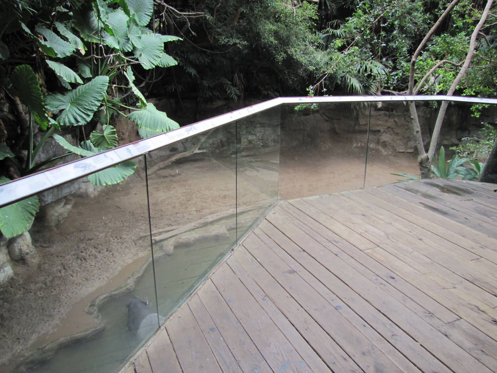 Bronx Zoo 2010 - Front of Malayan Tapir exhibit in Jungle World