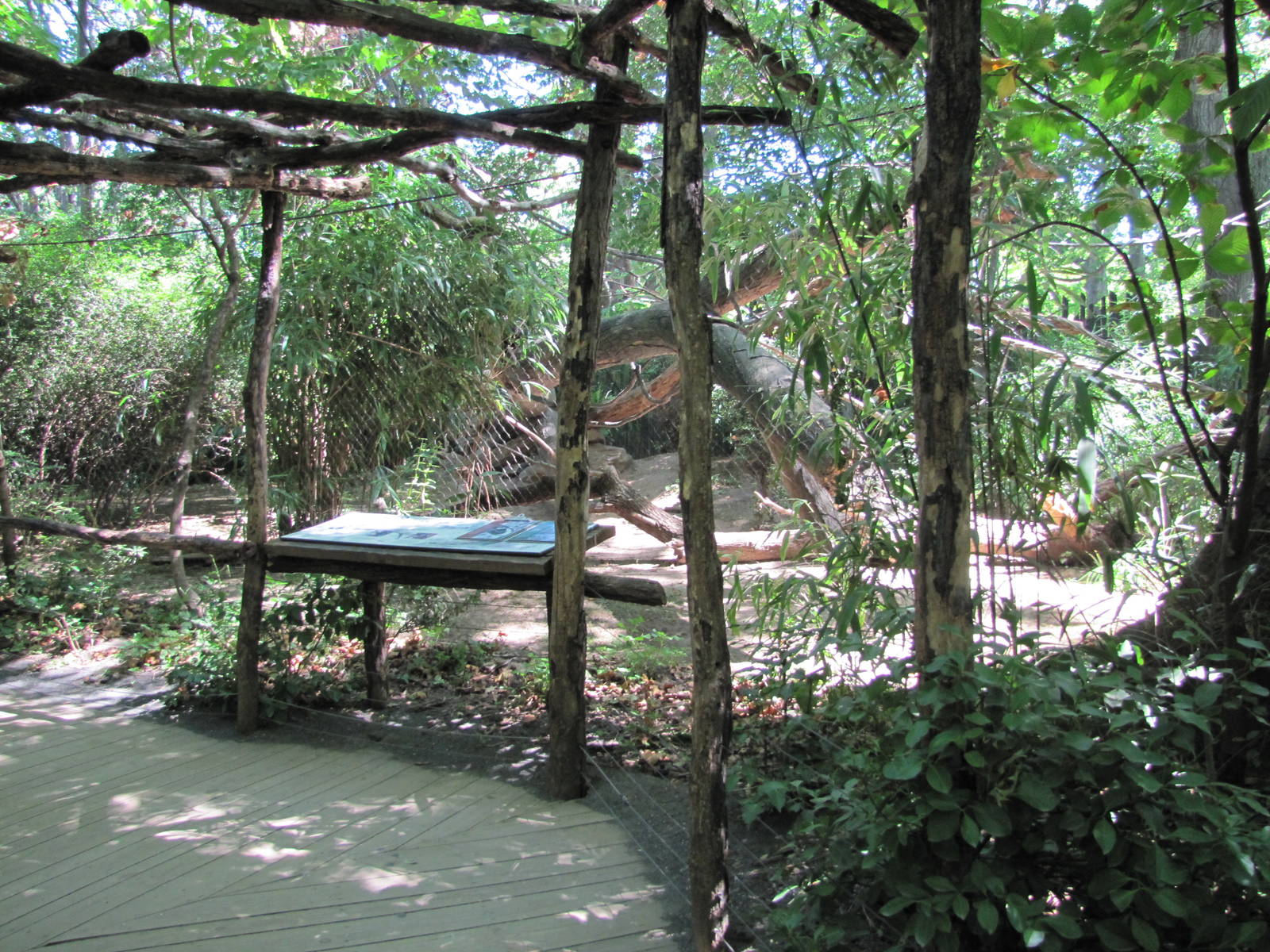 Bronx Zoo 2010 - Front of Maxwells Duiker exhibit in Congo Gorilla Forest