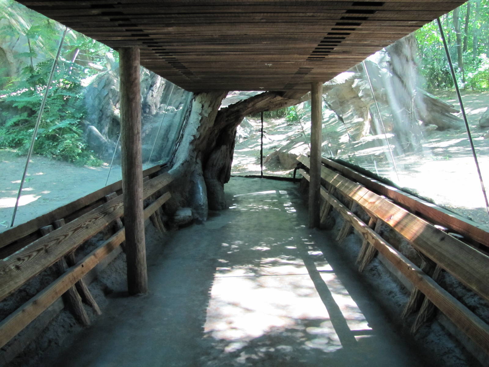 Bronx Zoo 2010 - General view in Congo Gorilla Forest