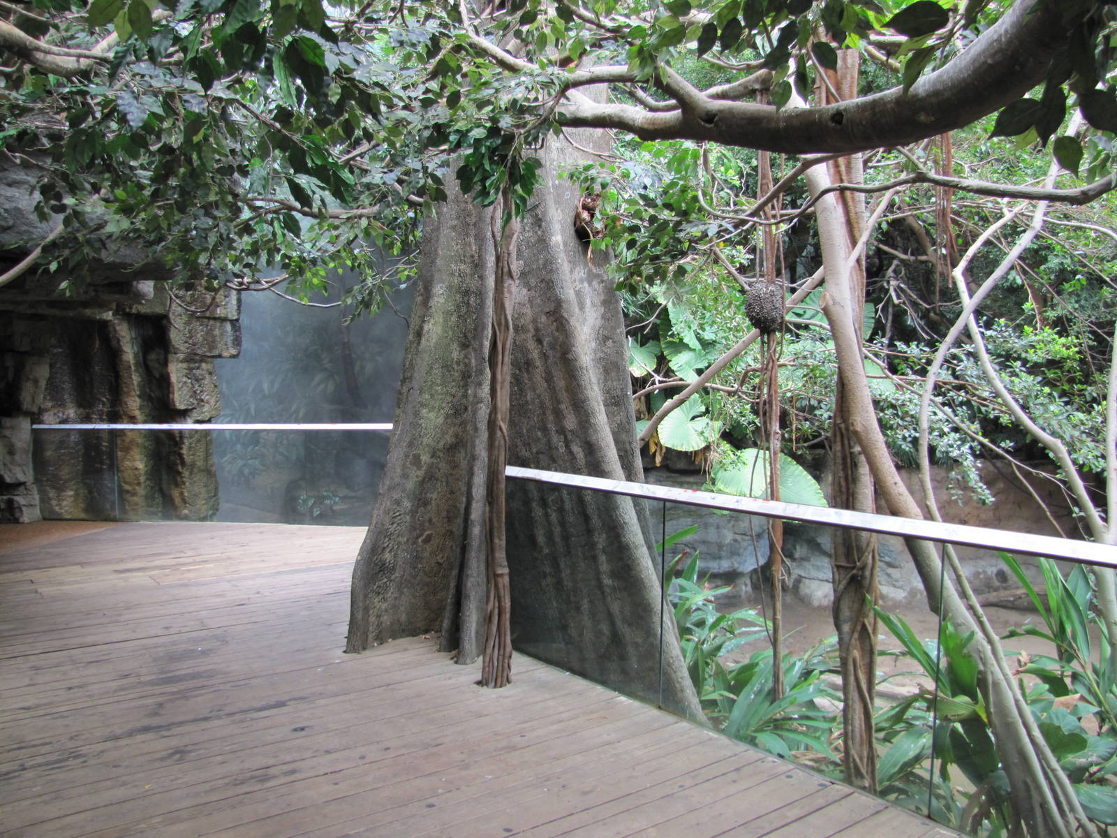 Bronx Zoo 2010 - General view in Jungle World