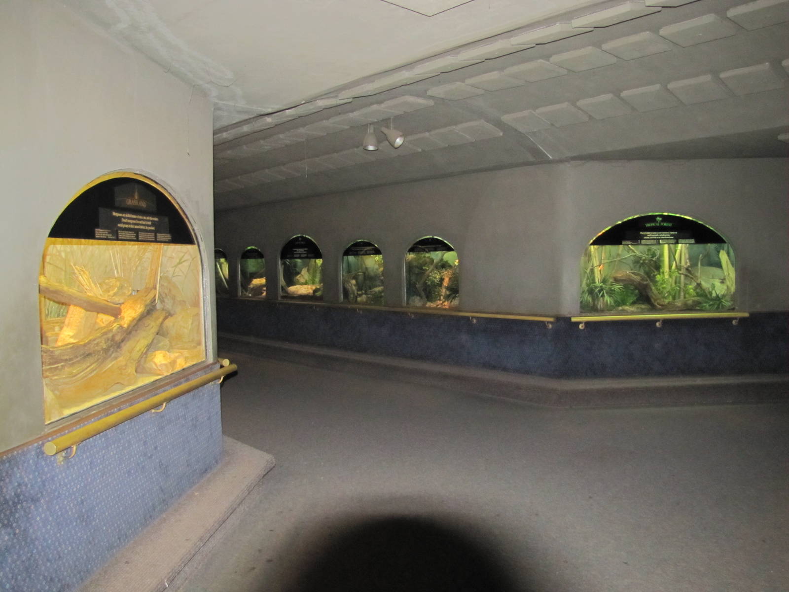 Bronx Zoo 2010 - General view in Mouse House