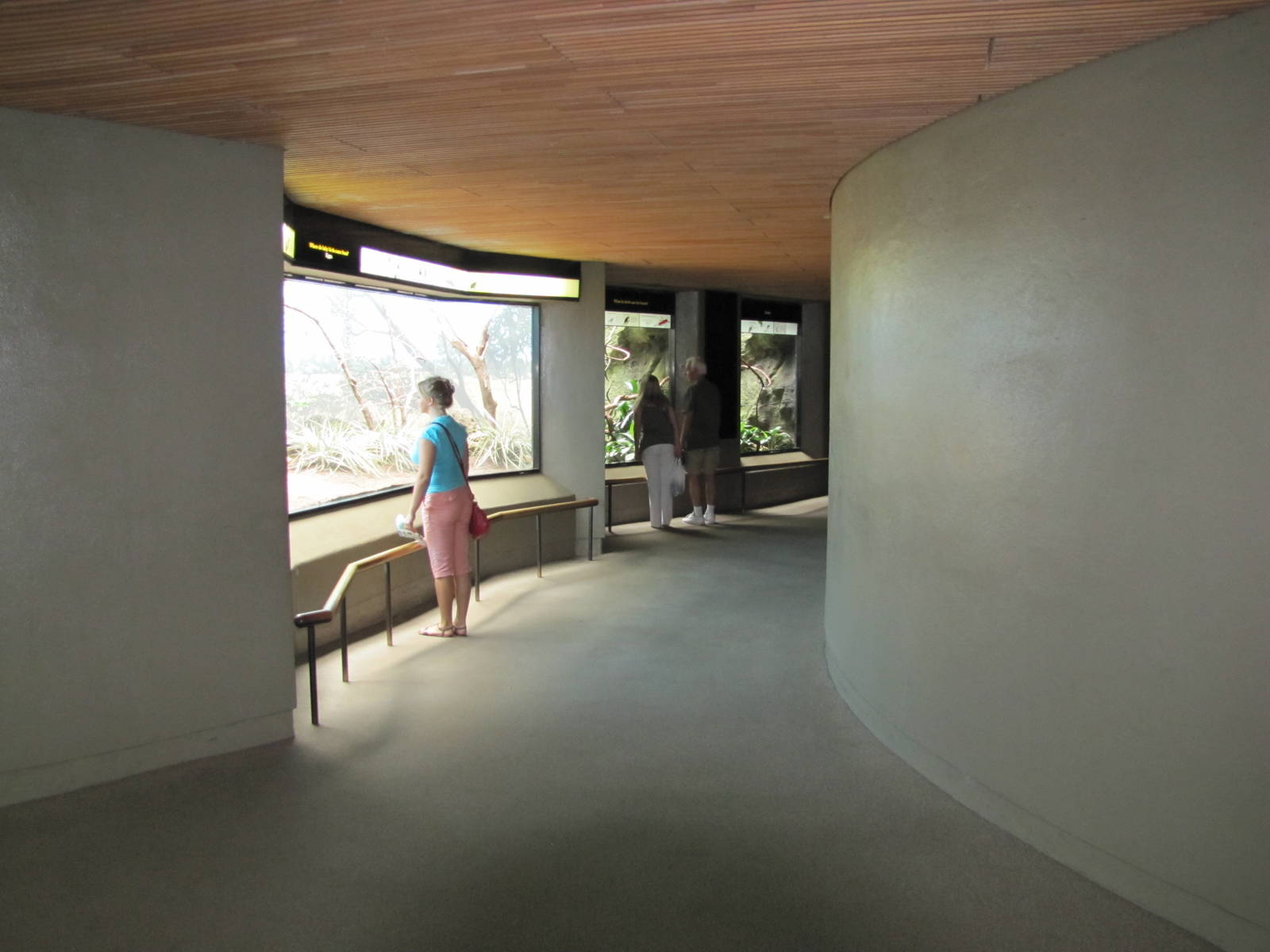 Bronx Zoo 2010 - General view in World of Birds