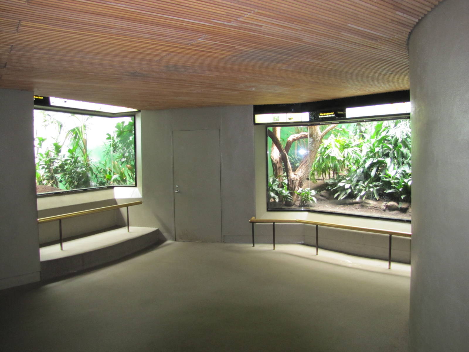 Bronx Zoo 2010 - General view in World of Birds