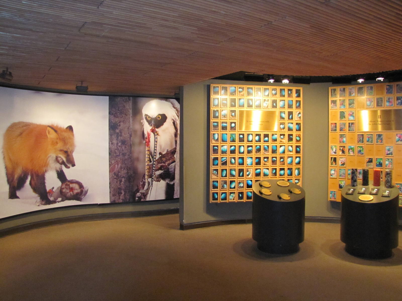 Bronx Zoo 2010 - General view in World of Birds