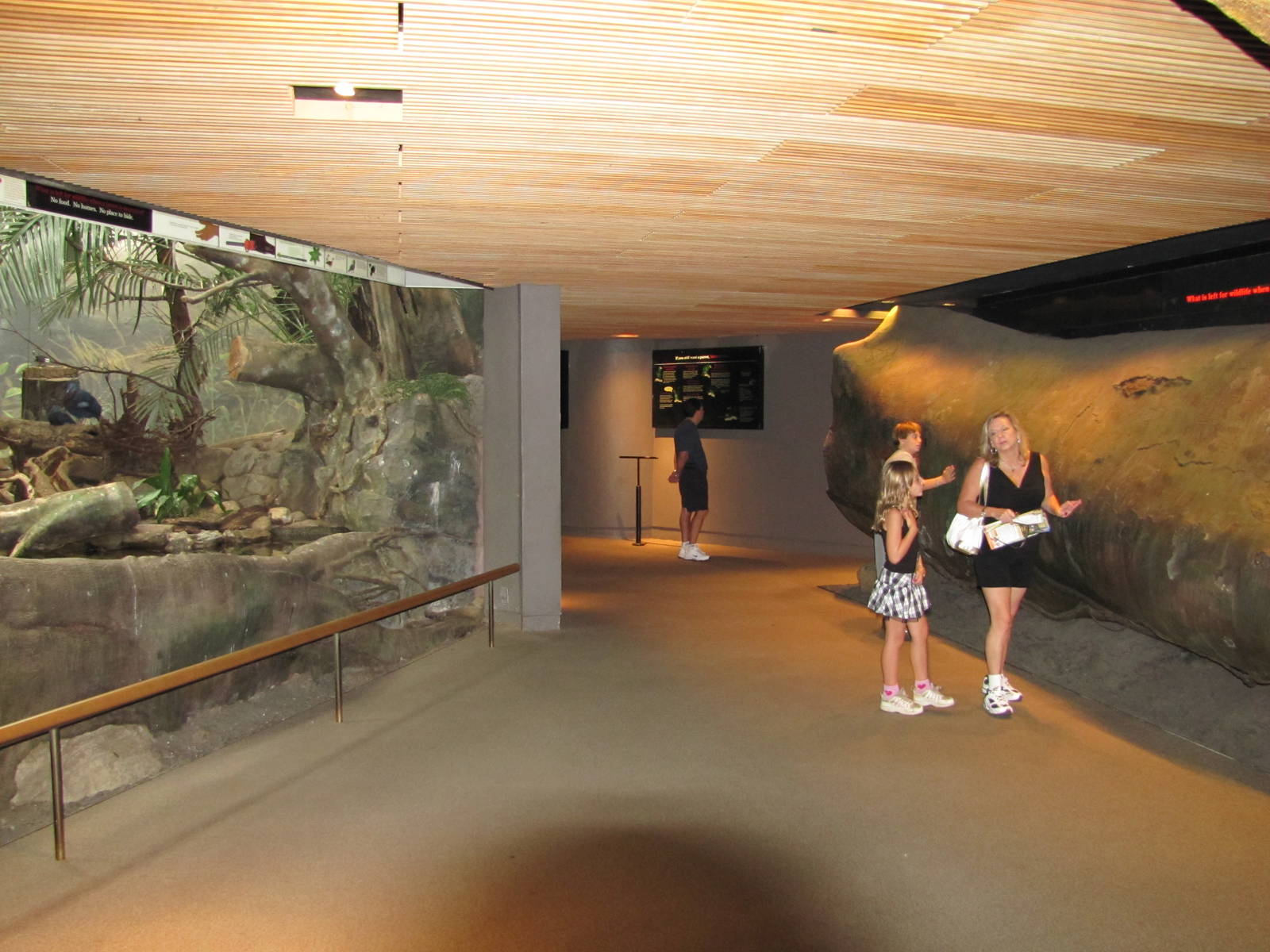 Bronx Zoo 2010 - General view in World of Birds