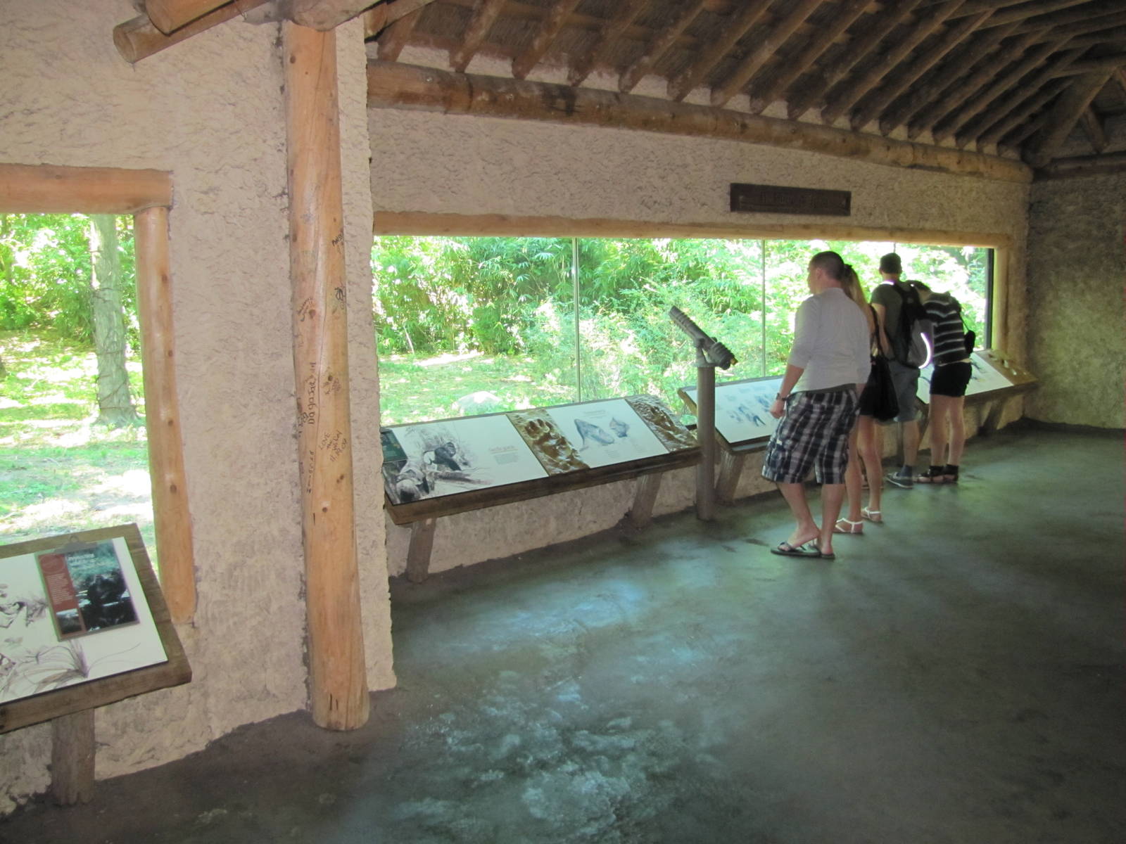 Bronx Zoo 2010 - Gorilla viewing outside Congo Gorilla Forest