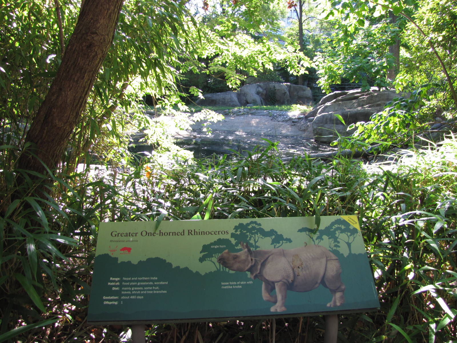 Bronx Zoo 2010 - Indian Rhinoceros exhibit at Zoo Center on historic Astor