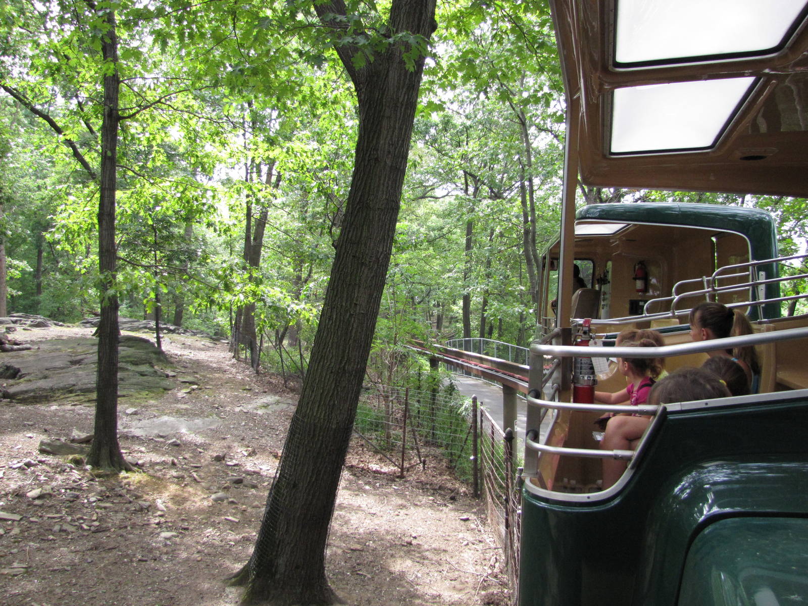 Bronx Zoo 2010 - Monorail passing through Wild Asia