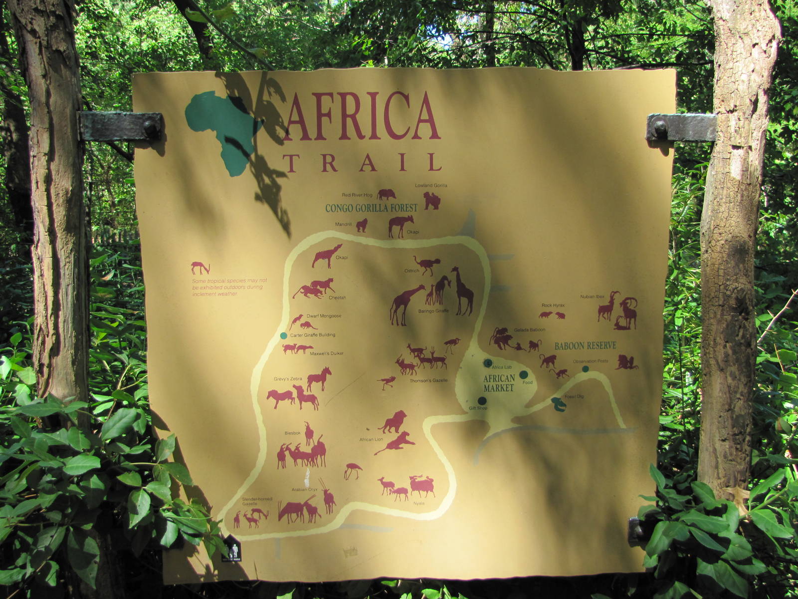 Bronx Zoo 2010 - Old Africa Trail sign