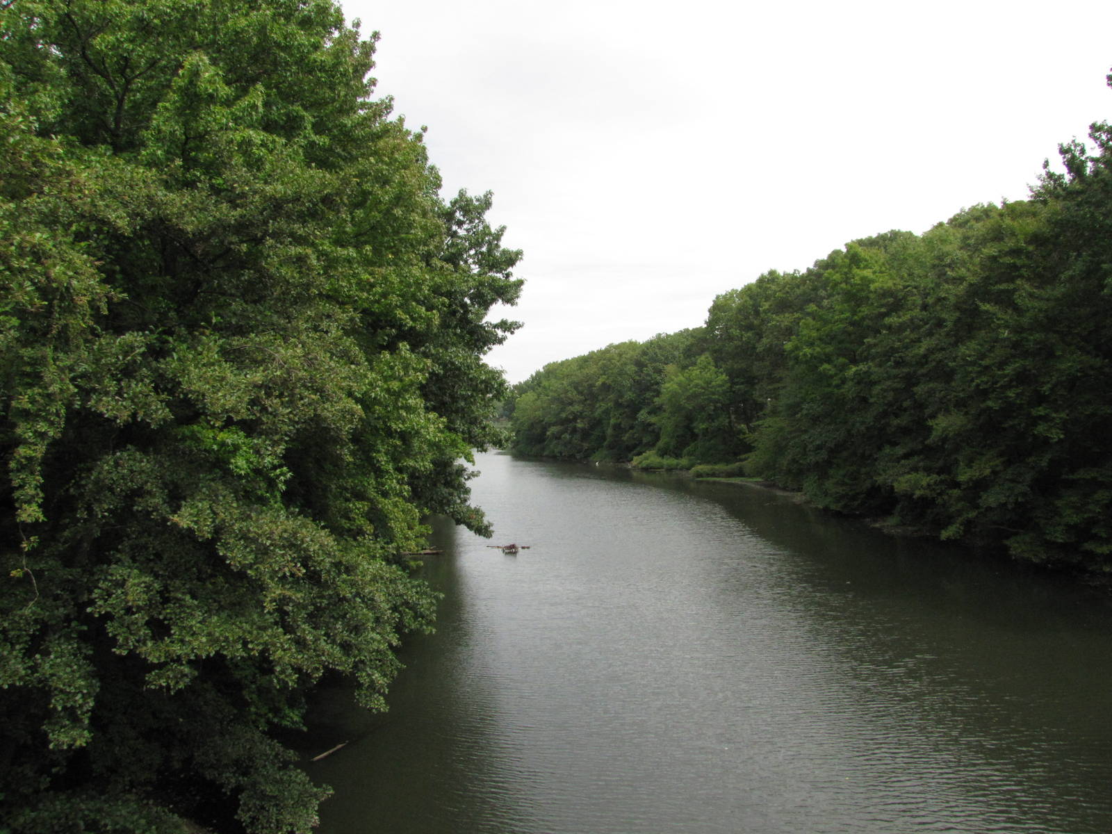 Bronx Zoo 2010 - On the Wild Asia Monorail crossing the Bronx River