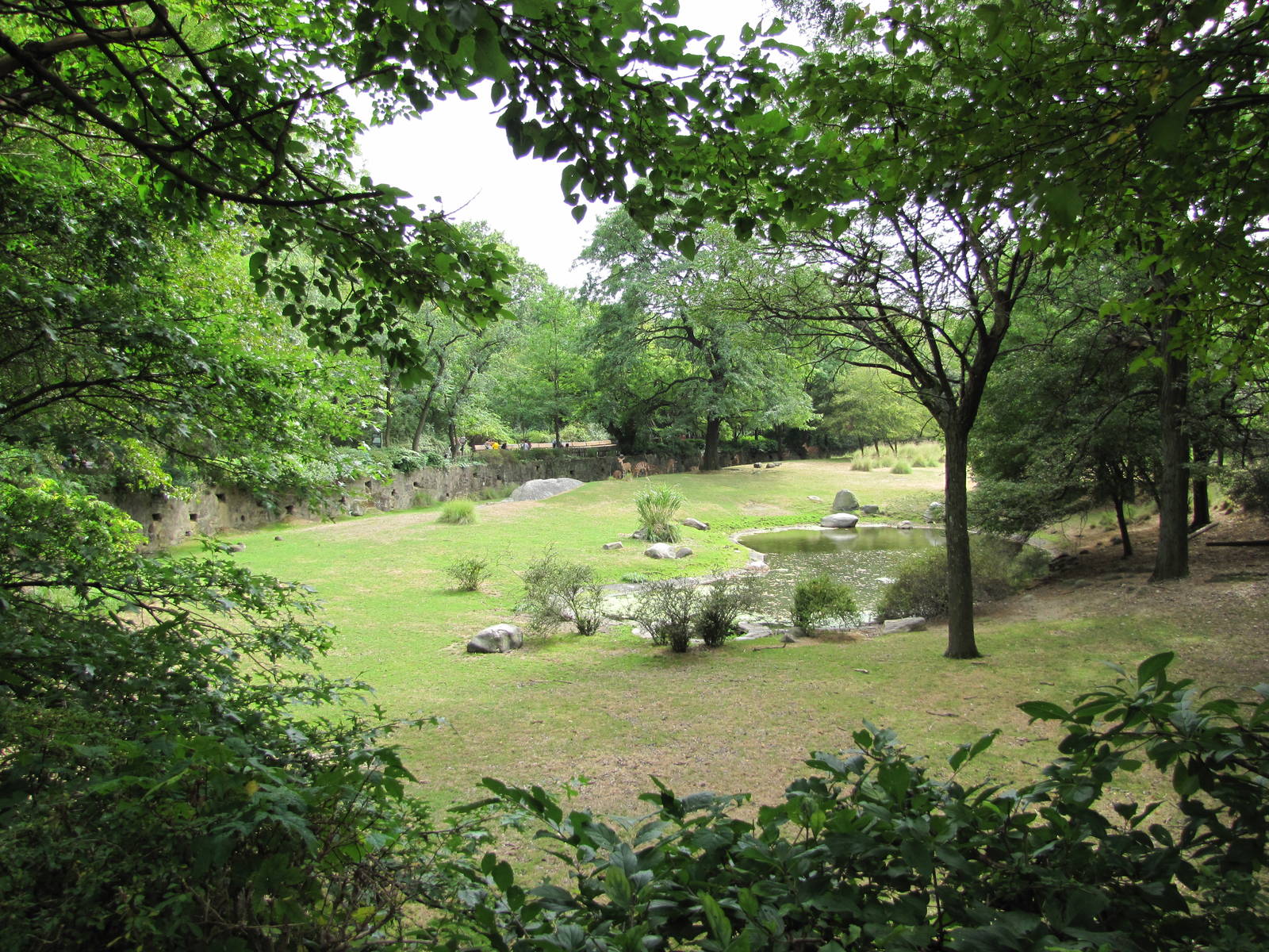 Bronx Zoo 2010 - Part of famous African Savannah exhibit