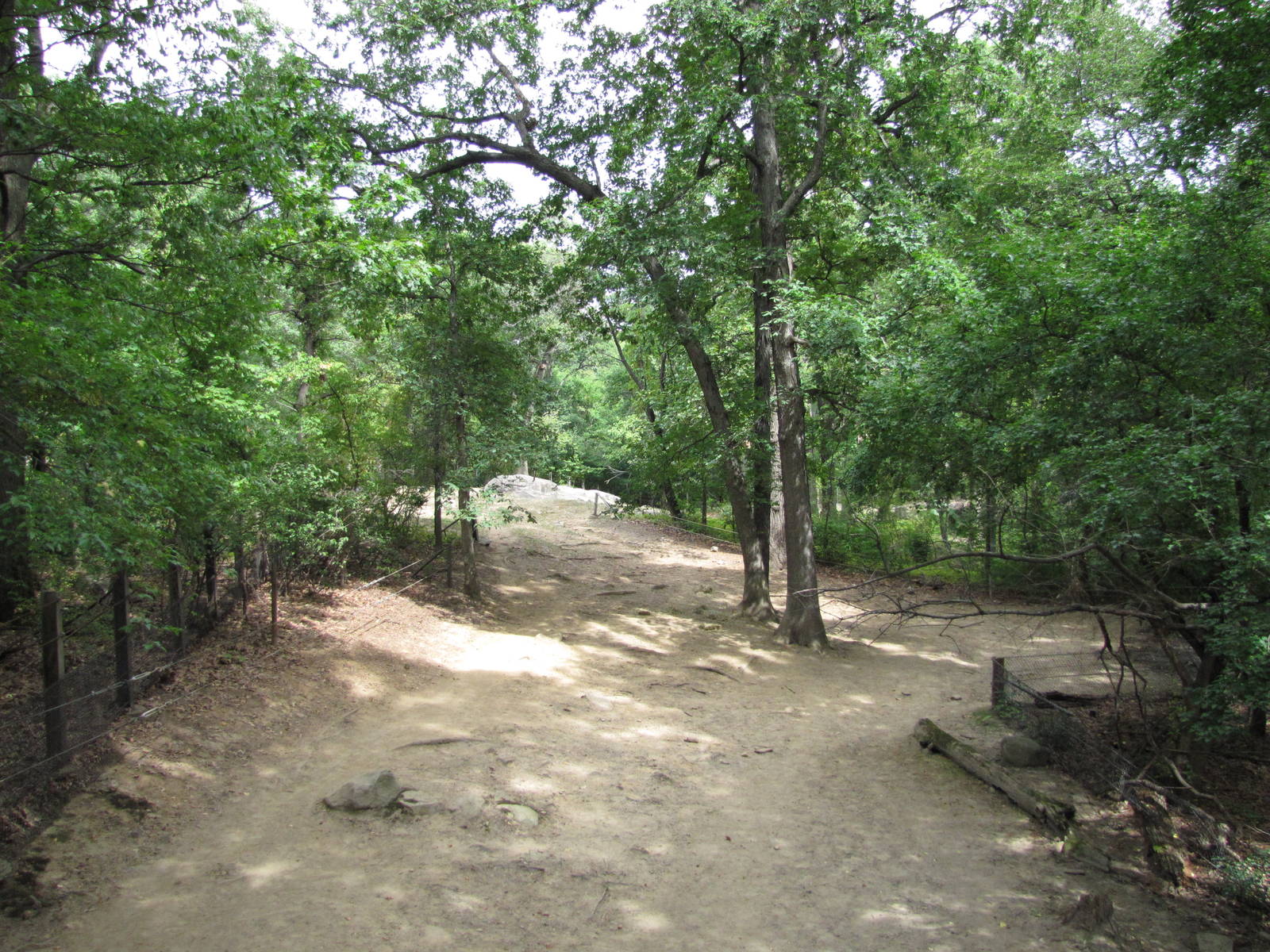 Bronx Zoo 2010 - Part of Indian Rhinoceros exhibit in Wild Asia
