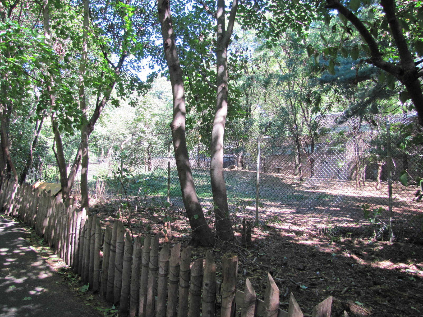 Bronx Zoo 2010 - Part of Spotted Hyena exhibit at Carter Giraffe House