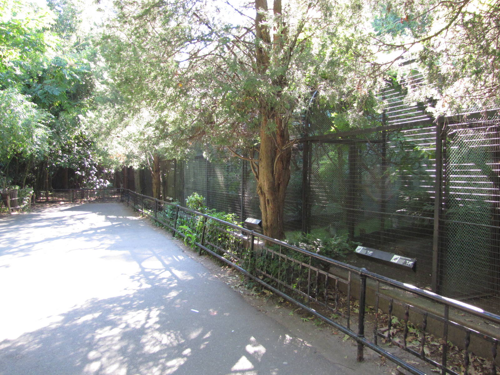 Bronx Zoo 2010 - Pheasant Aviaries