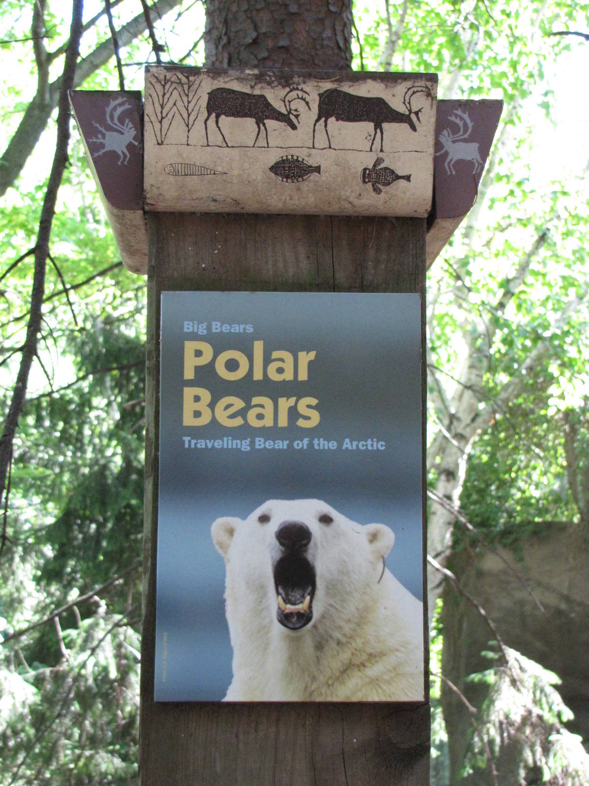 Bronx Zoo 2010 - Polar Bear exhibit sign
