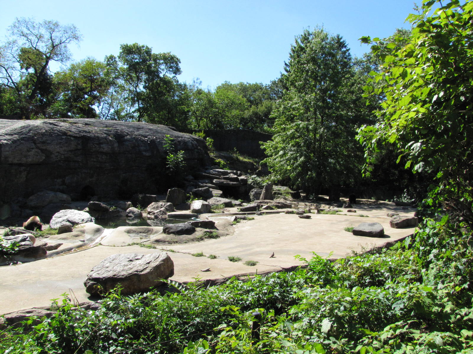 Bronx Zoo 2010 - Second part of Brown Bear exhibit