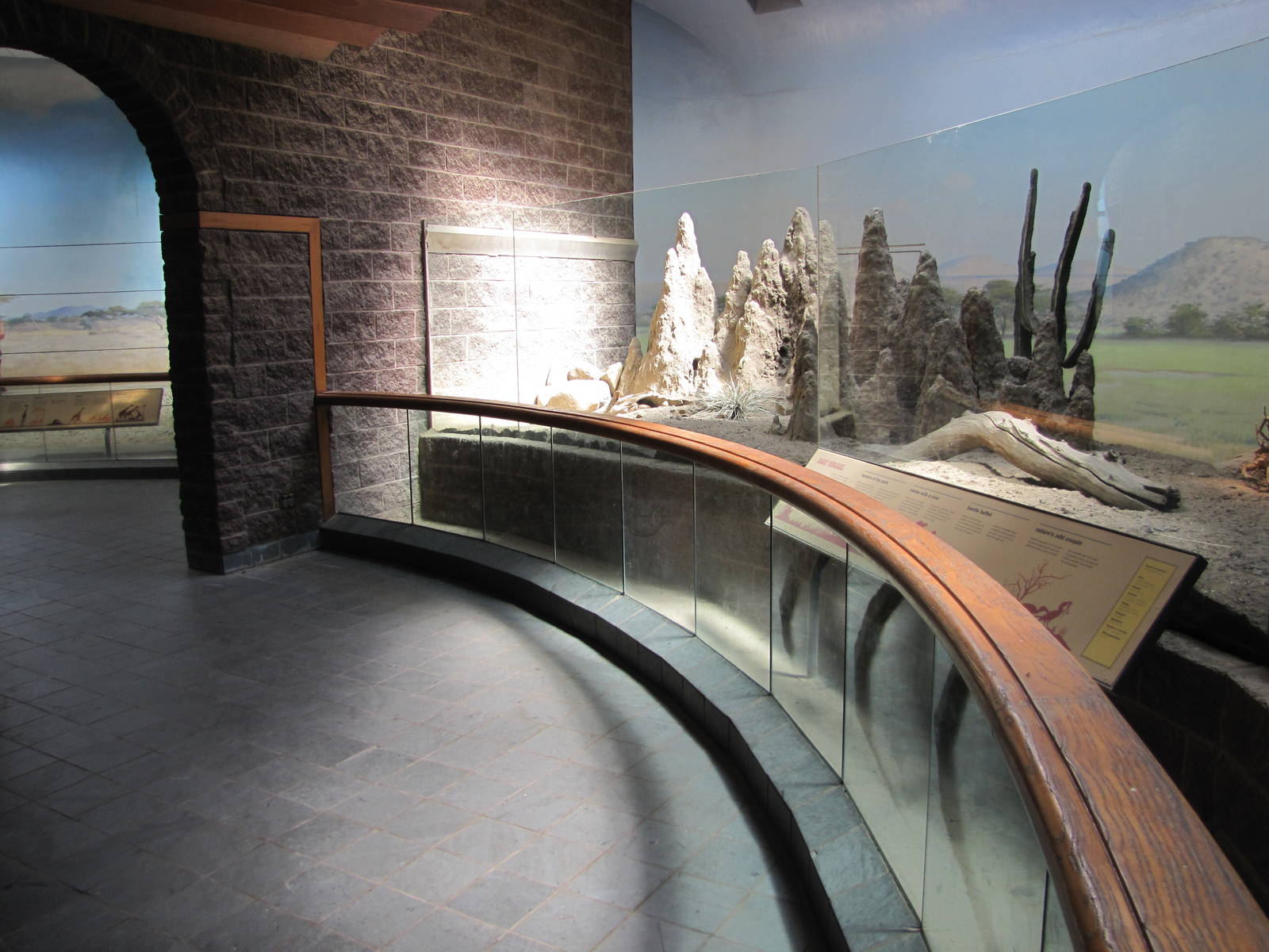 Bronx Zoo 2010 - Second part of Dwarf Mongoose exhibit in Carter Giraffe Ho