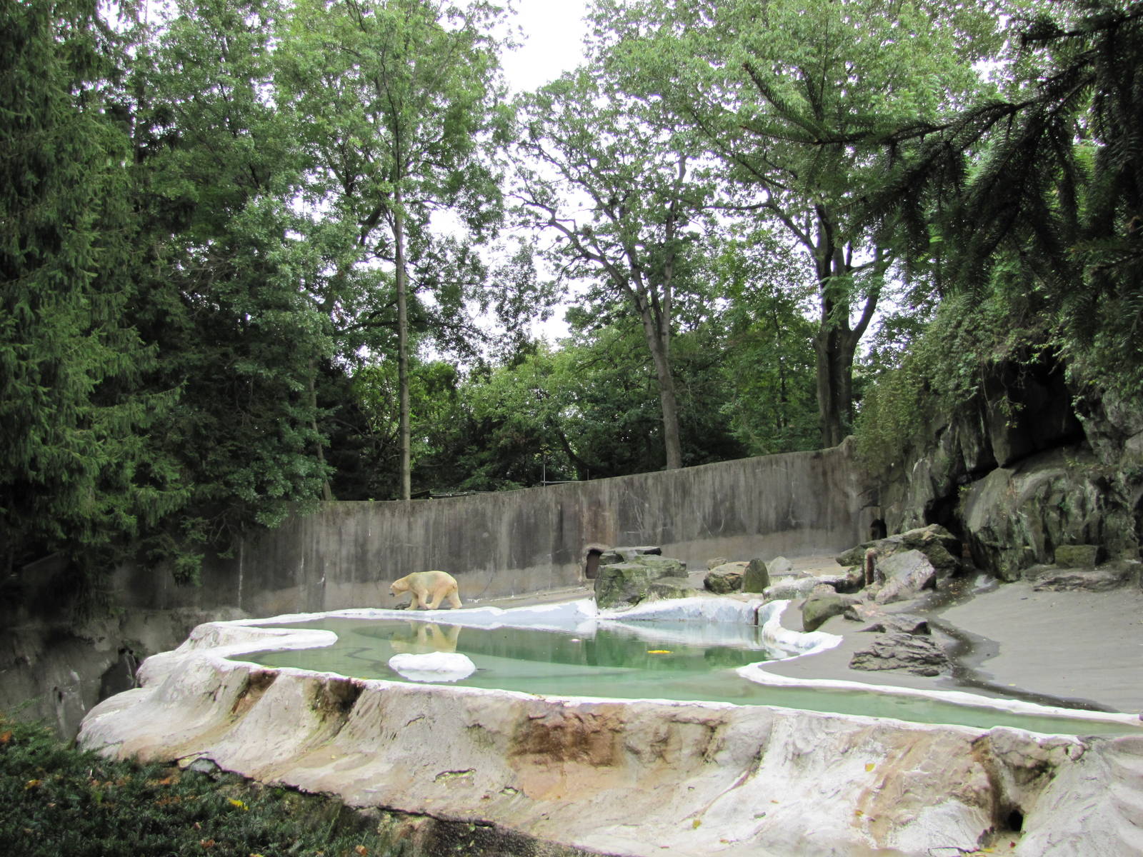 Bronx Zoo 2010 - Second part of Polar Bear exhibit